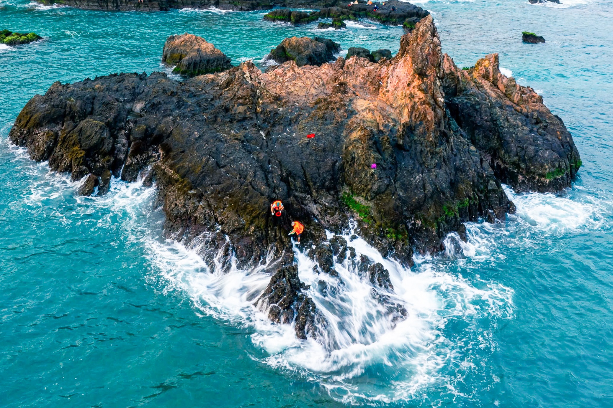 Chenh venh cao rong mut o bien Gia Lai hinh anh