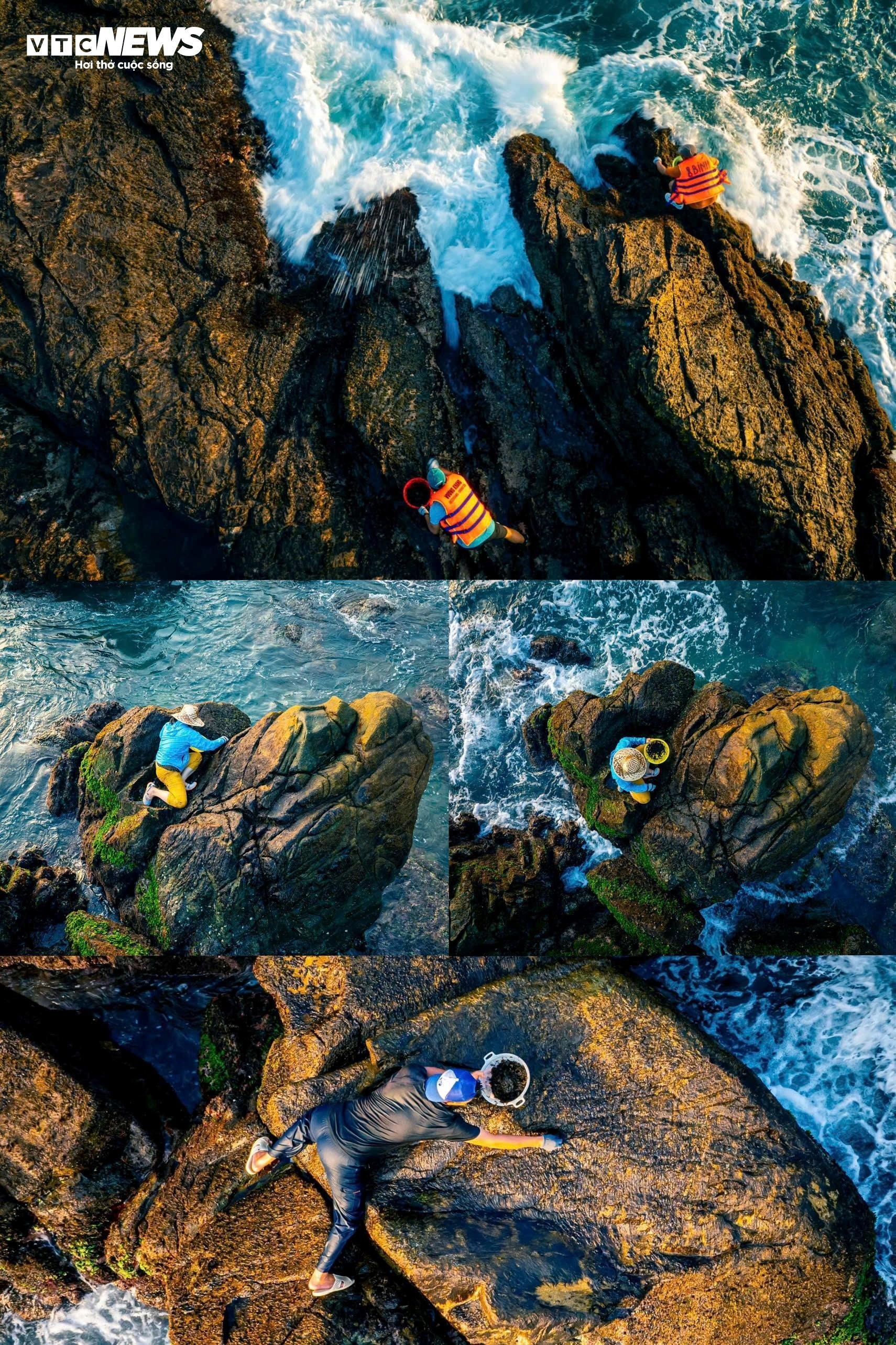 Nghe cao rong mut anh 7