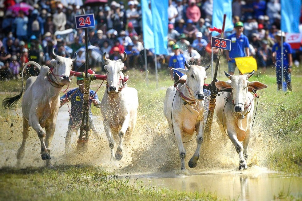 Hang nghin nguoi xem hoi dua bo o An Giang hinh anh