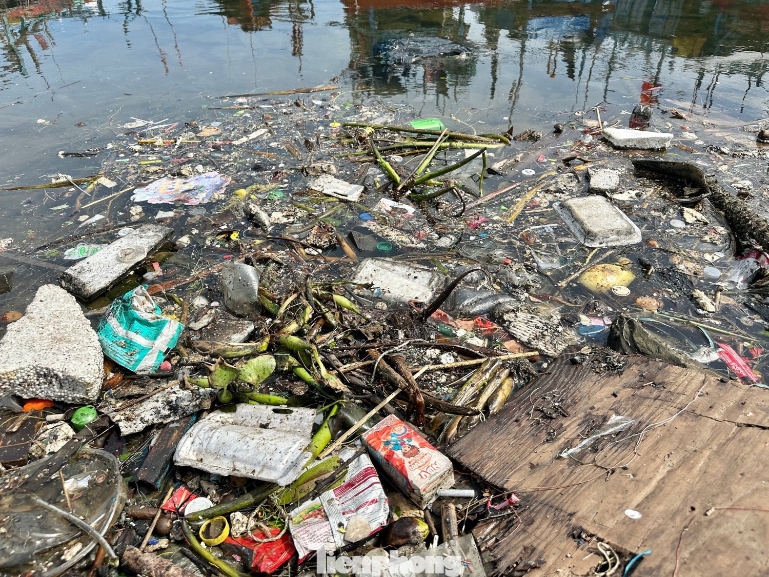 Đà Nẵng sau bão ảnh 10 Da Nang sau bao anh 10