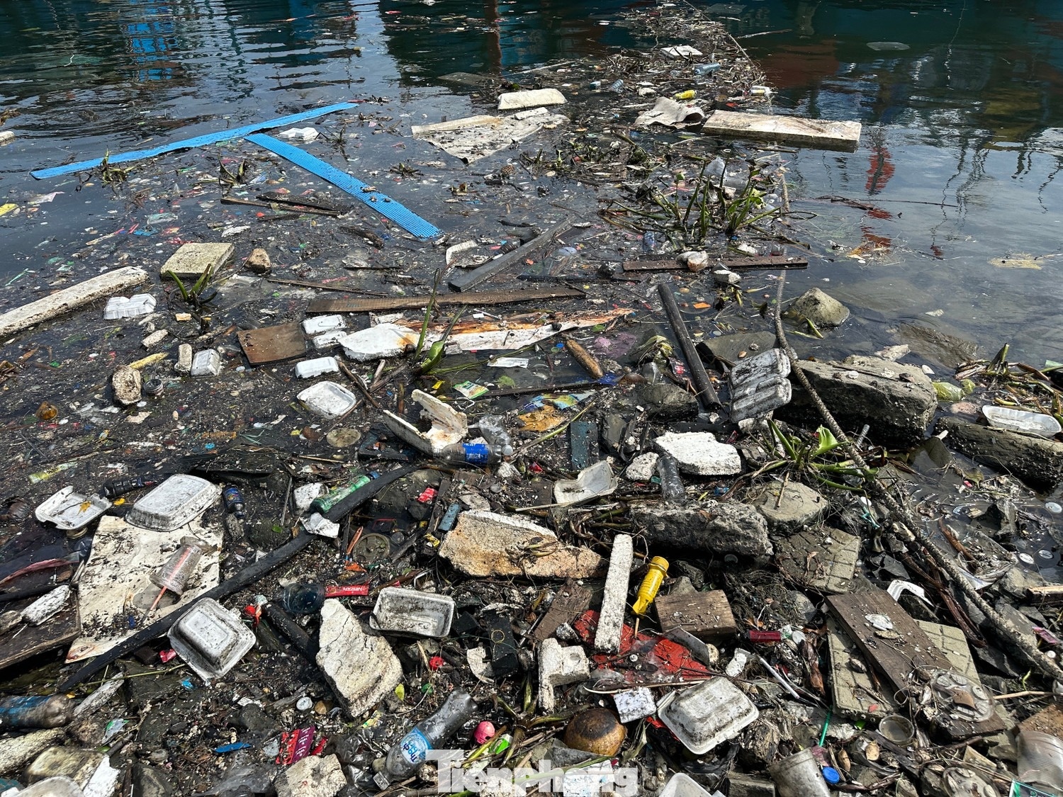 Da Nang sau bao anh 2