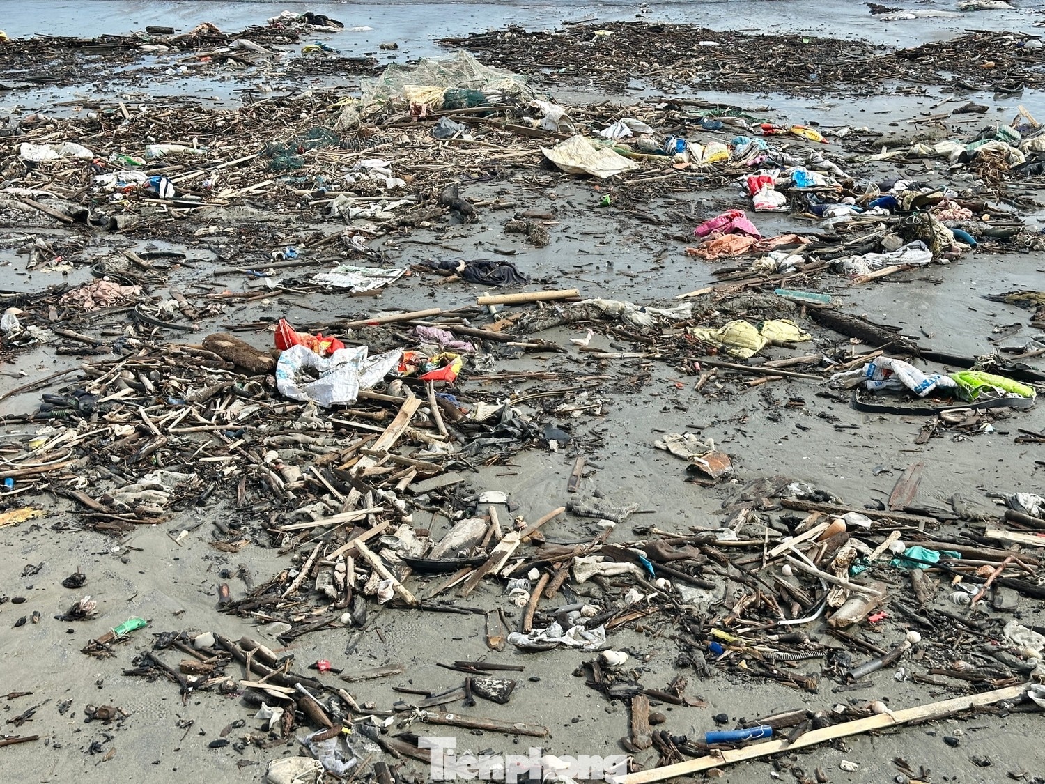 Đà Nẵng sau bão ảnh 8 Da Nang sau bao anh 8