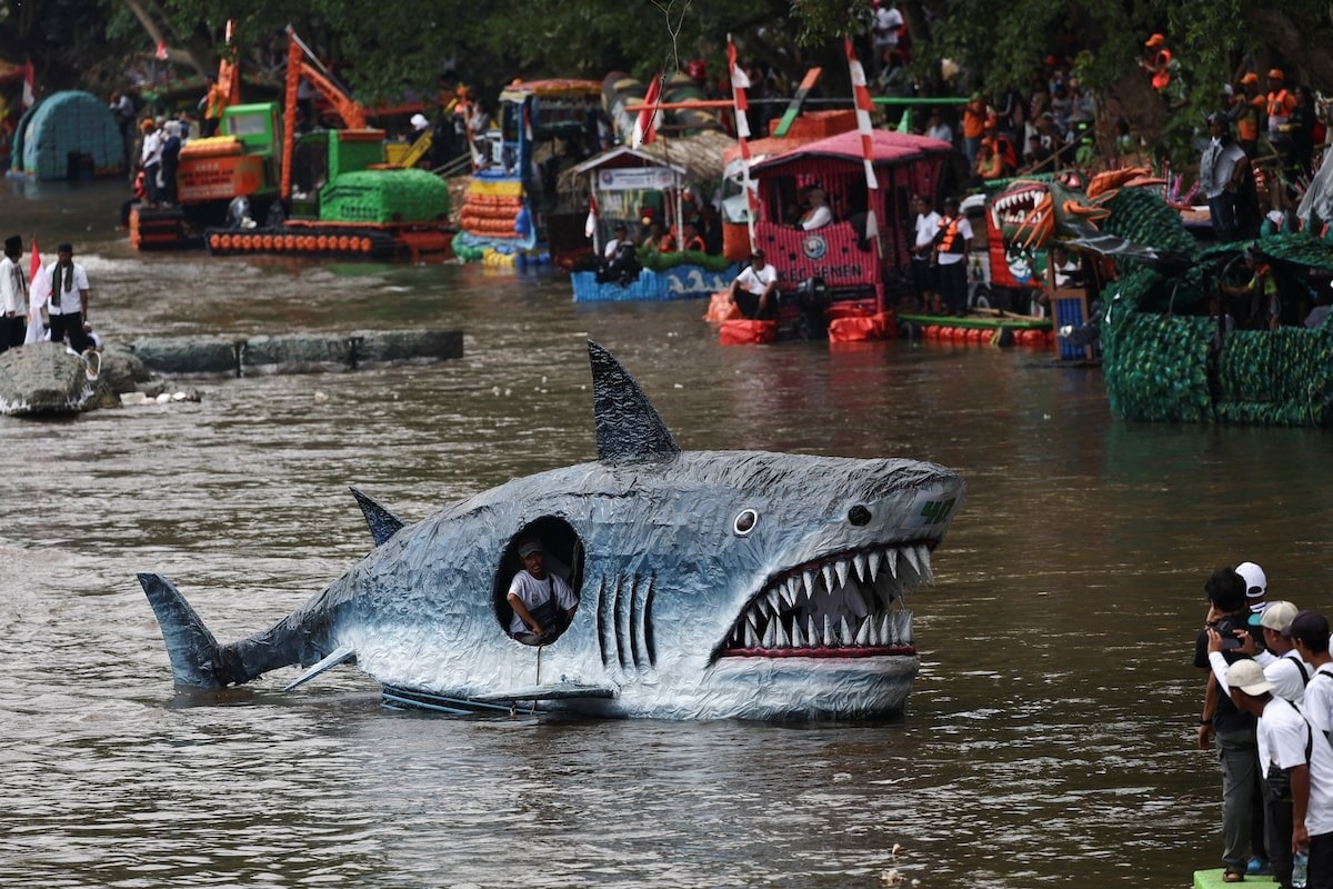 Ca map nhua tren dong song o nhiem nhat the gioi hinh anh