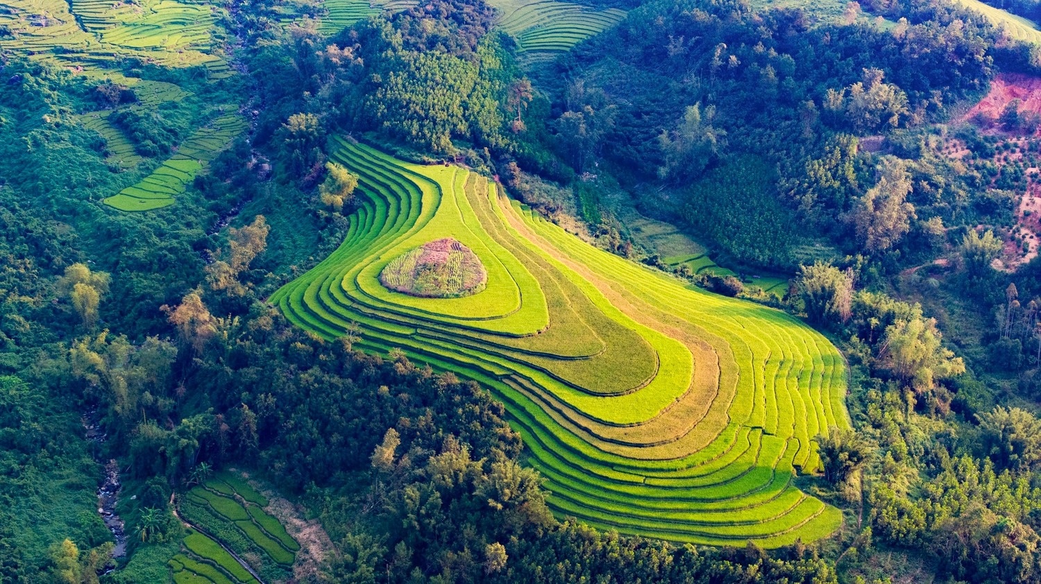 Ruong bac thang Luc Hon anh 14