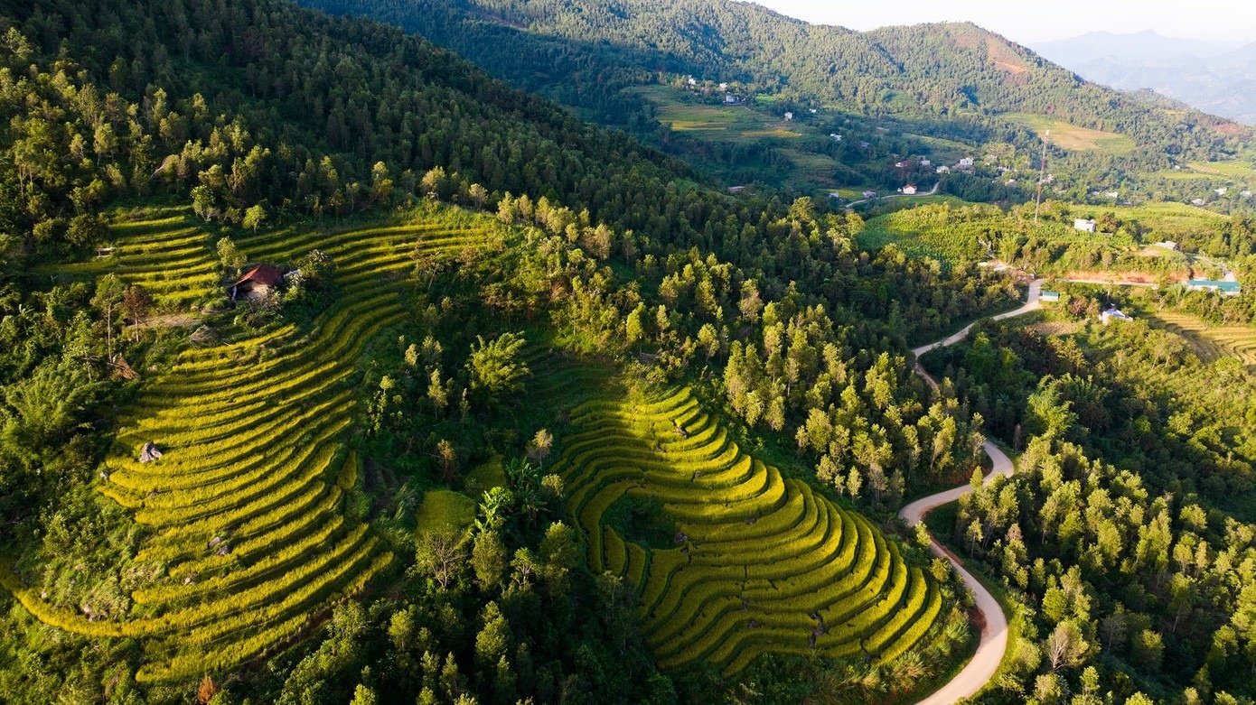 Ruong bac thang Luc Hon anh 6