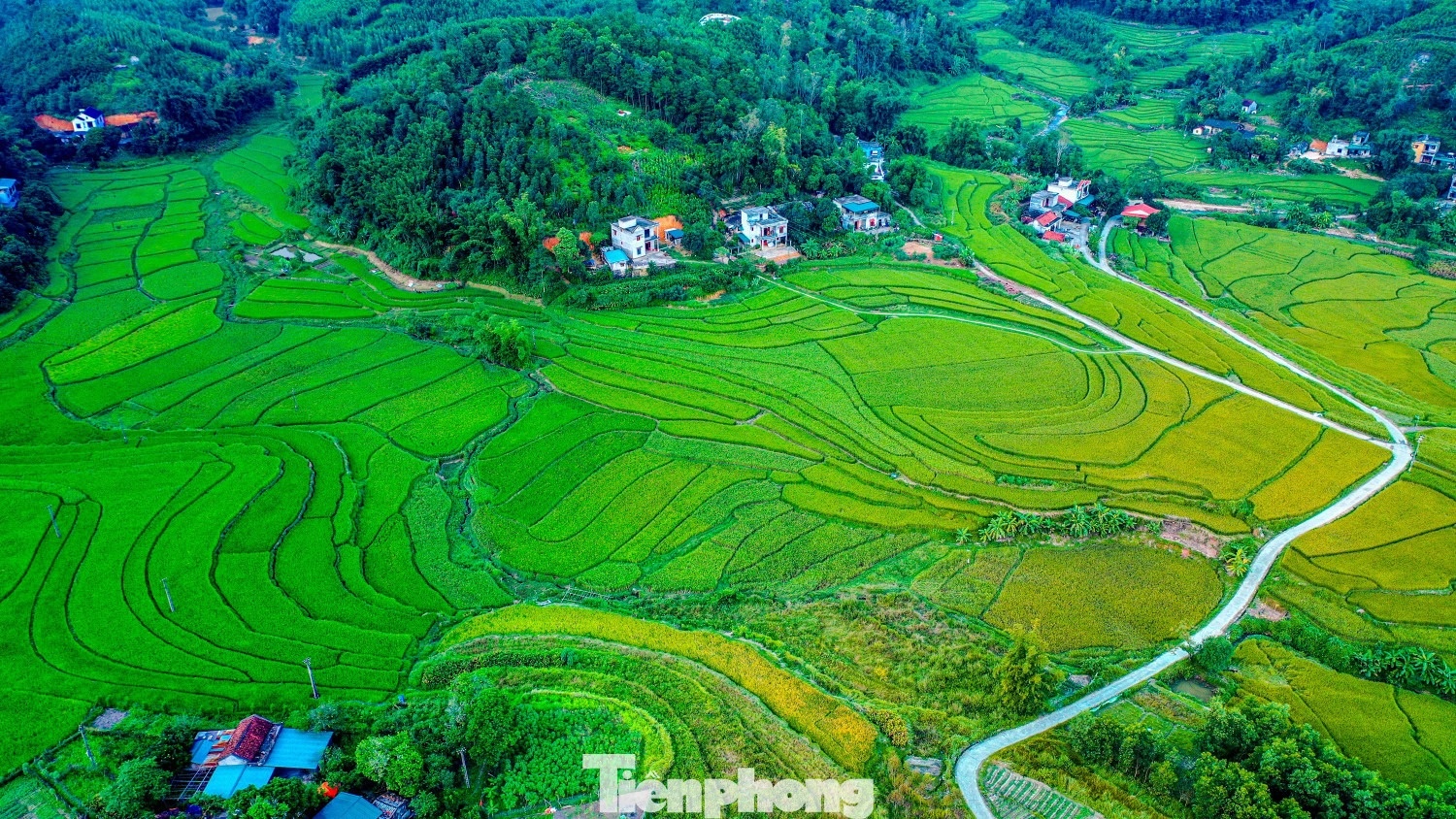 Ruong bac thang Luc Hon anh 17