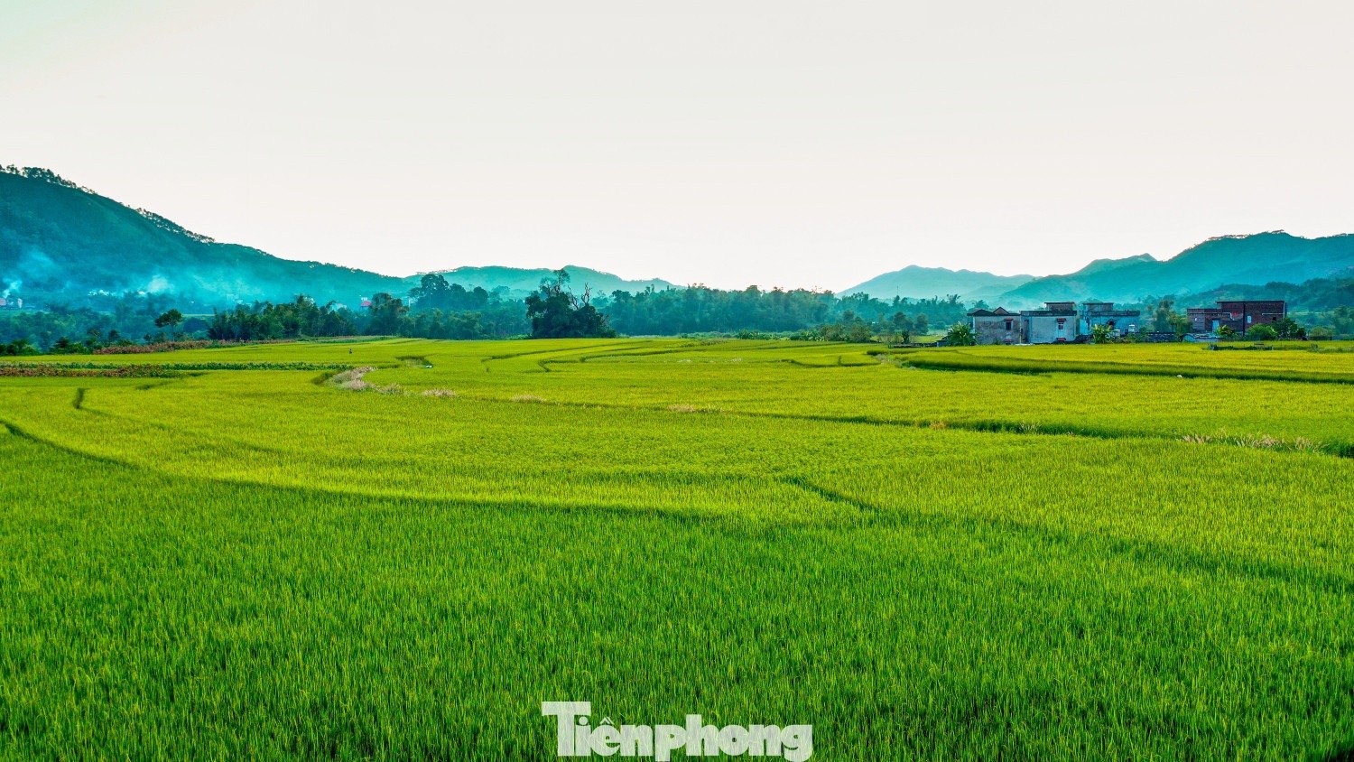 Ruong bac thang Luc Hon anh 5