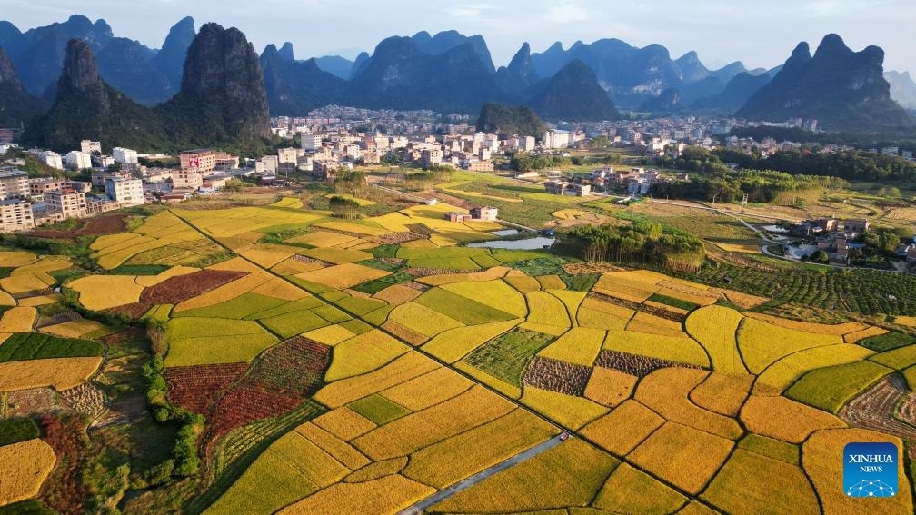 Mùa thu Trung Quốc ảnh 5 Mua thu Trung Quoc anh 5