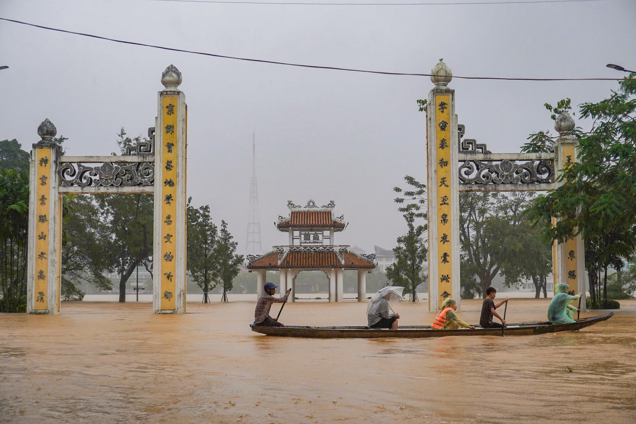 'Toi bat luc nhin do dac chim trong bien nuoc' hinh anh