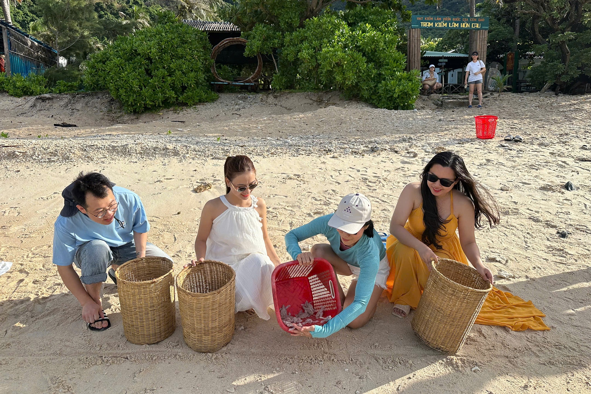 Rùa bạch tạng Côn Đảo ảnh 2 Rua bach tang Con Dao anh 2