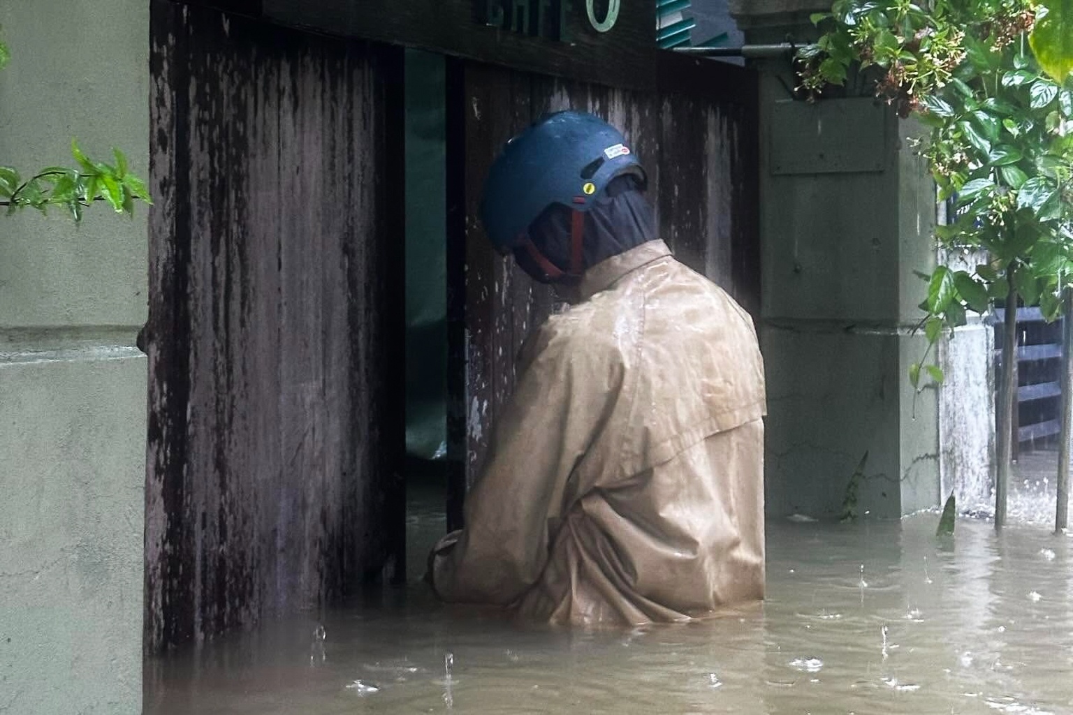 'Toi bat luc nhin do dac chim trong bien nuoc' hinh anh