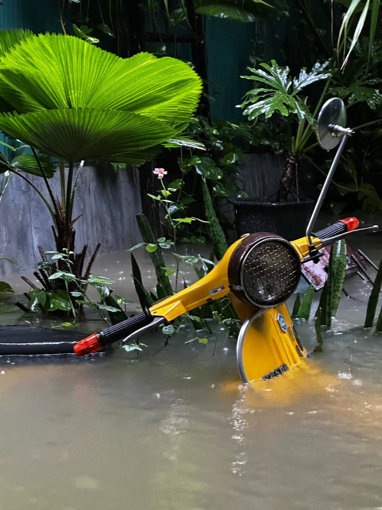 Cà phê Huế ngập ảnh 8 Ca phe Hue ngap anh 8