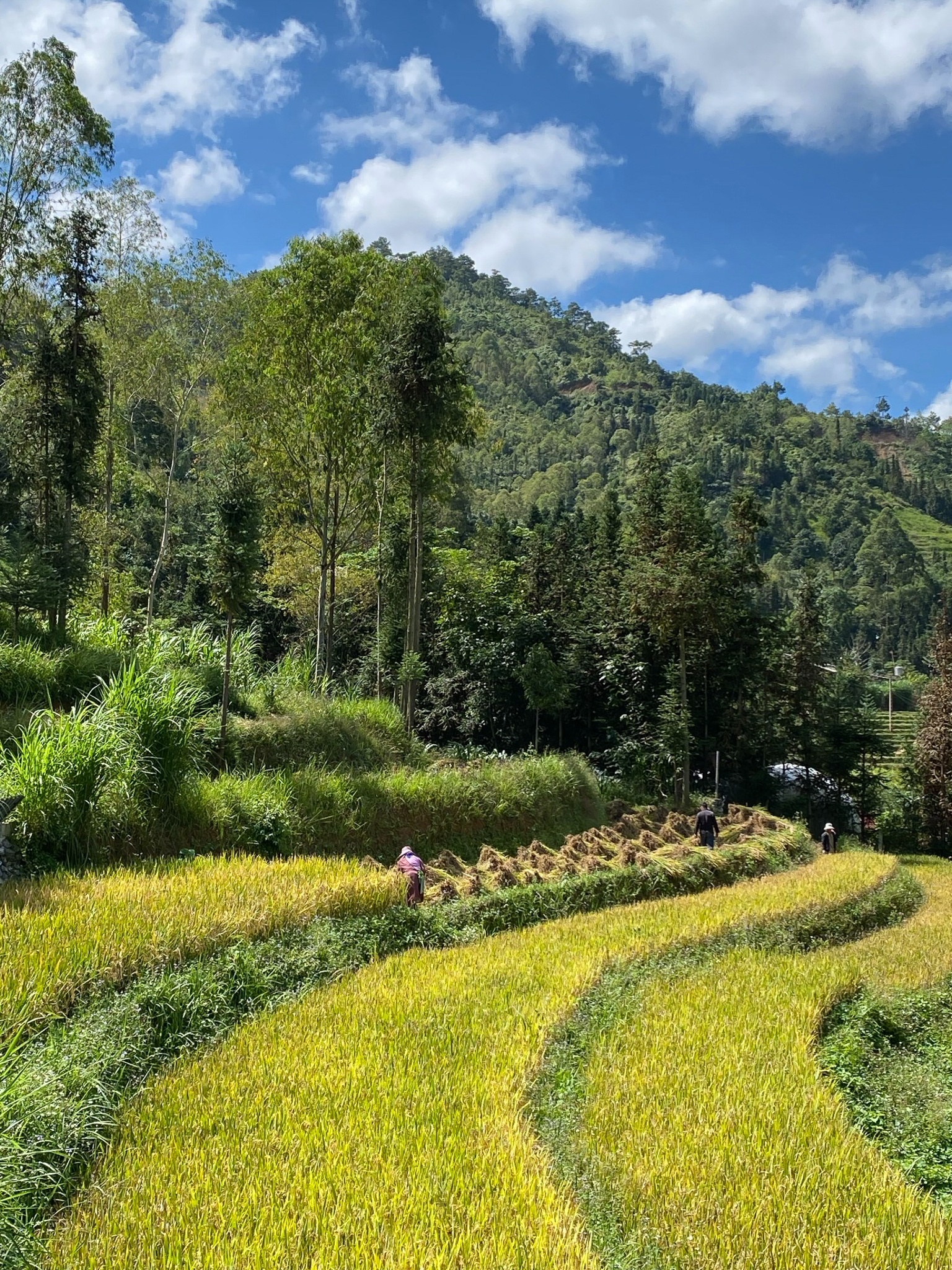 Khach Philippines o Viet Nam anh 10