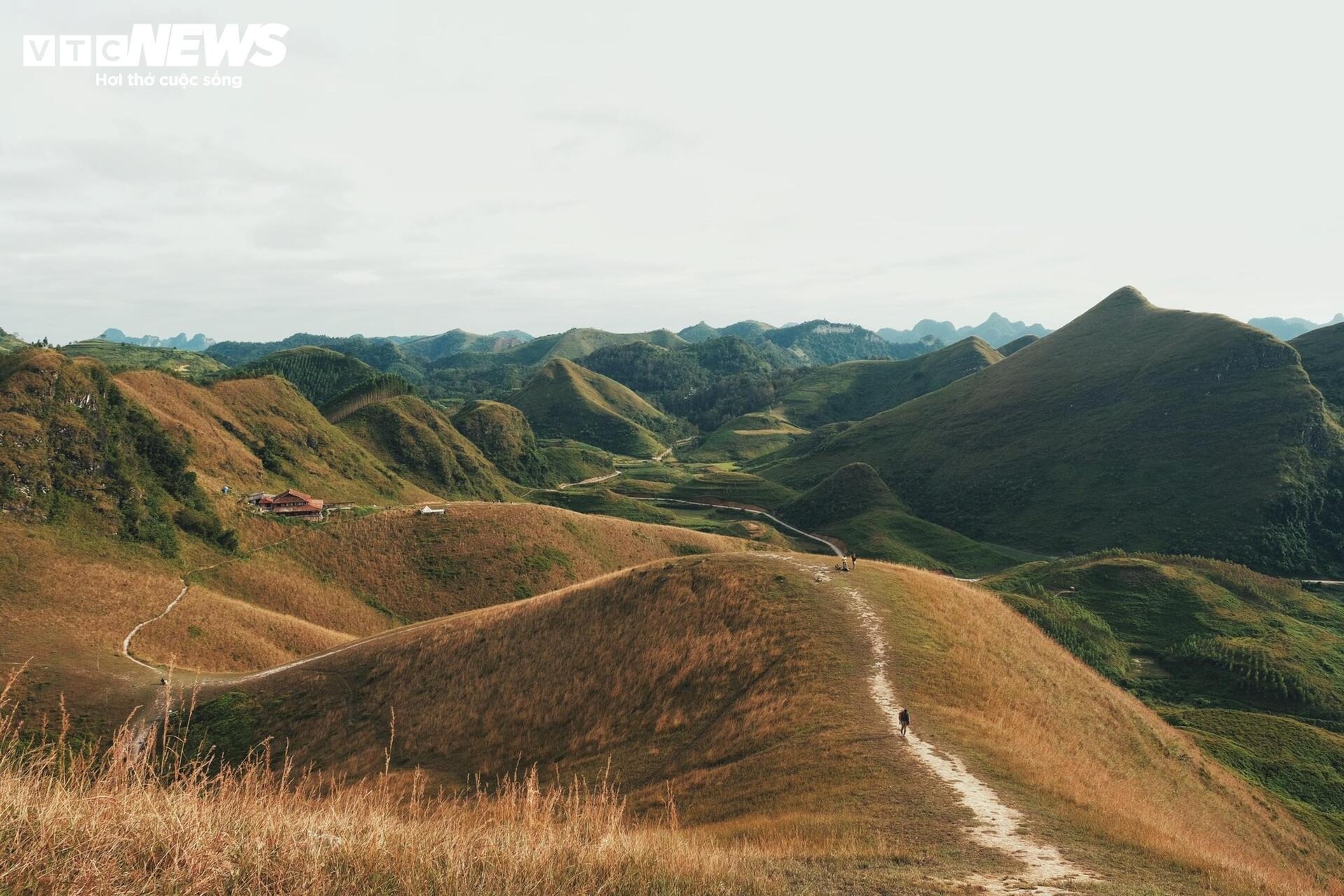 Ba Quang co chay anh 1