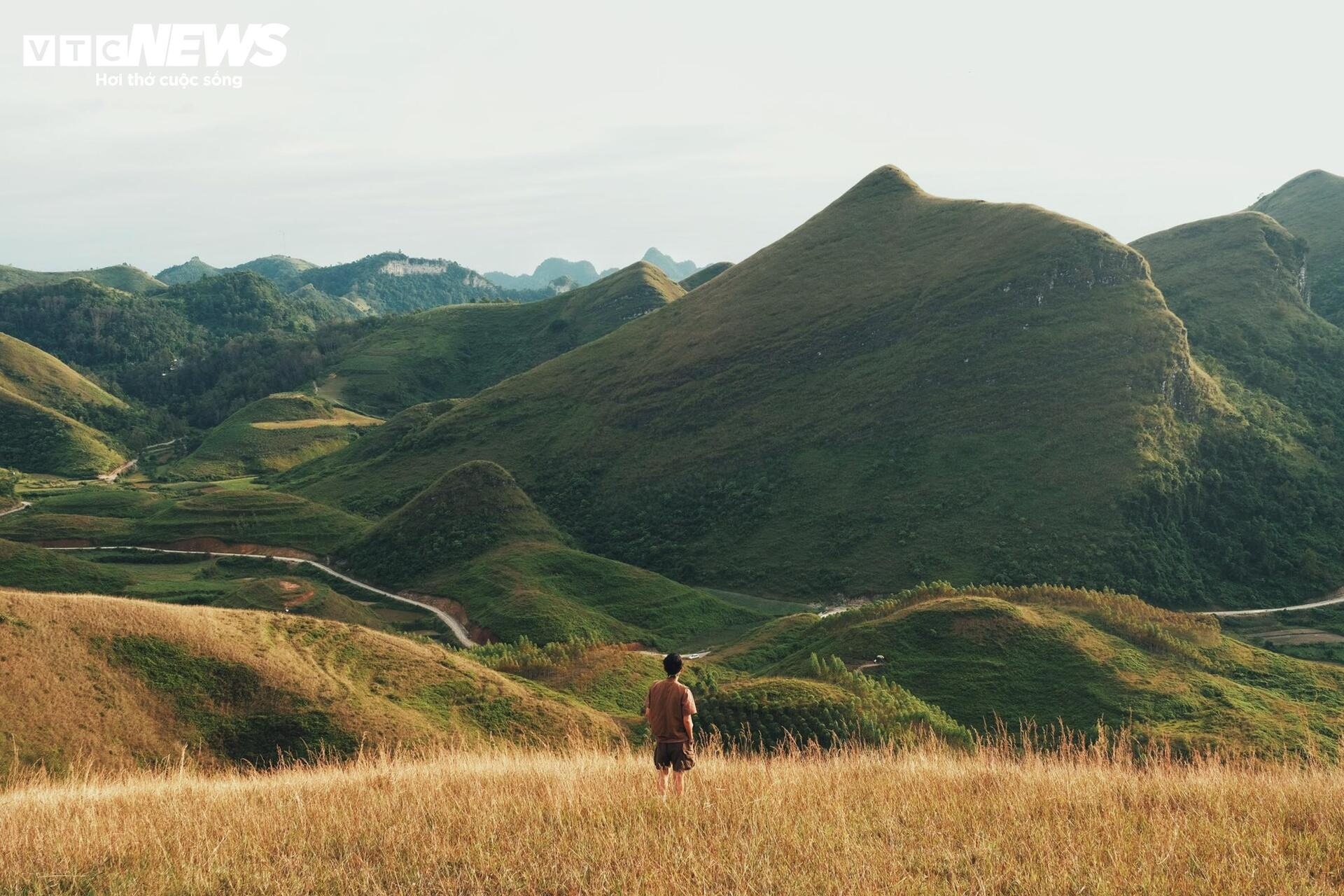 Ba Quang co chay anh 5