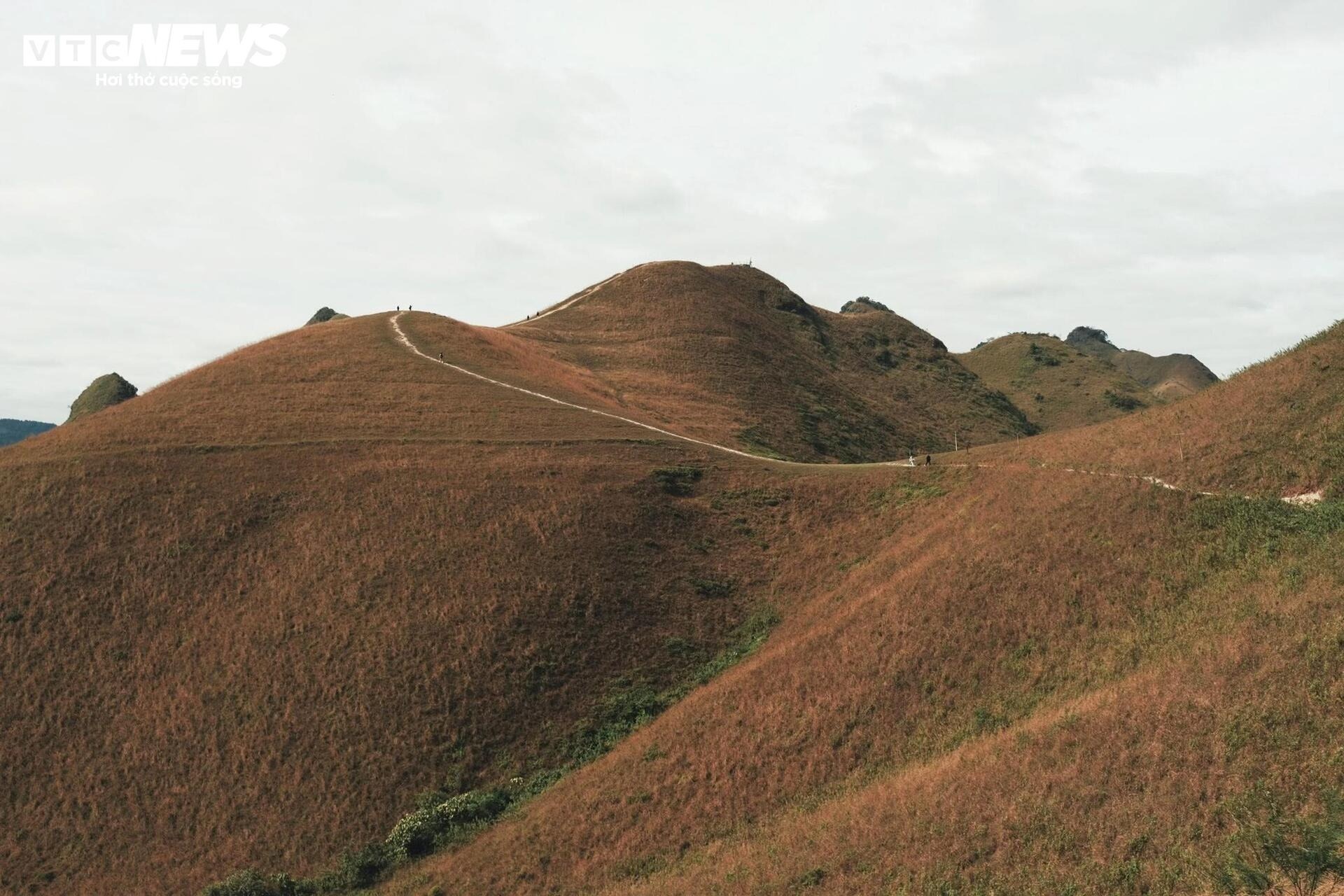 Ba Quang co chay anh 6