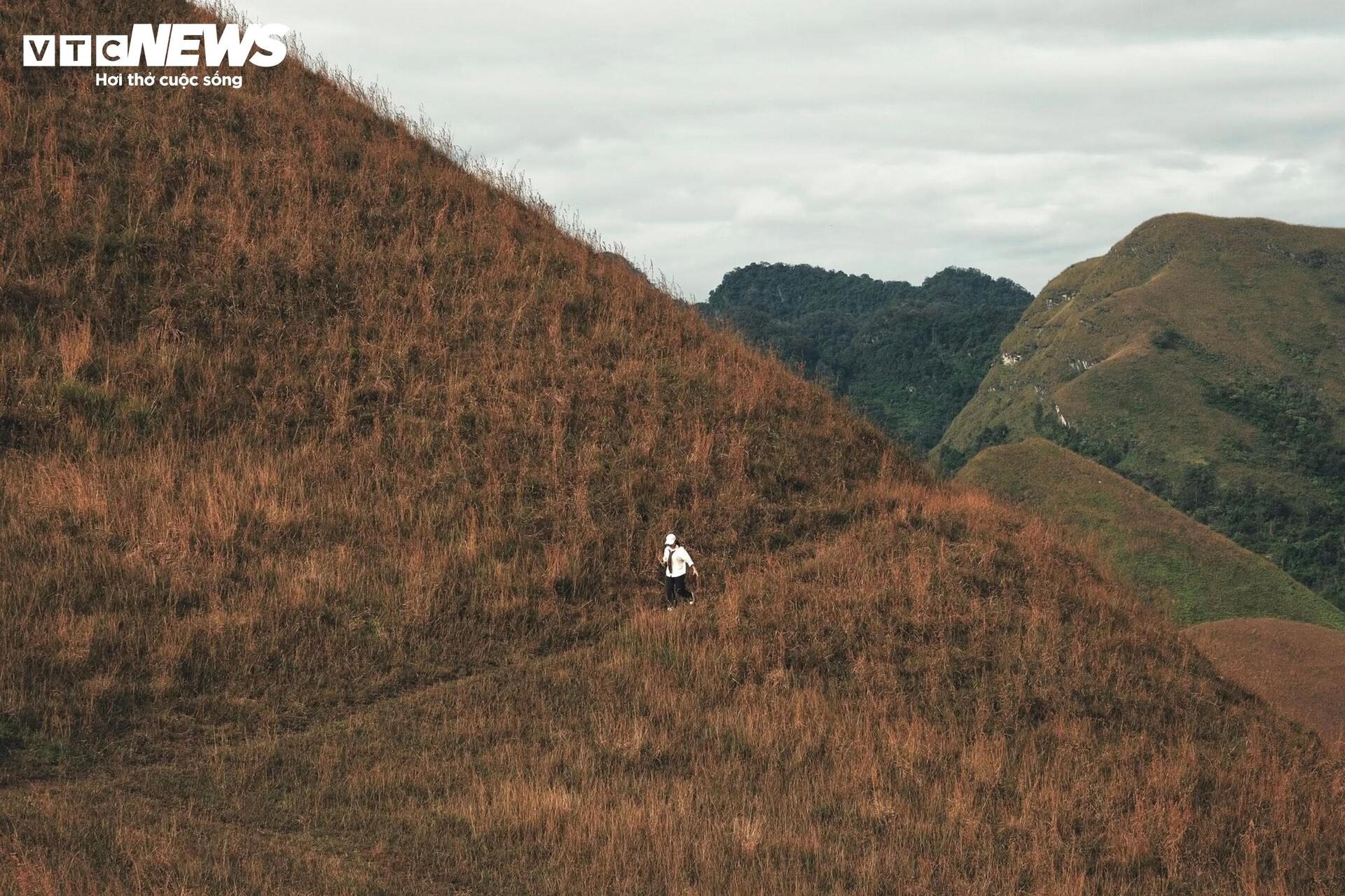 Ba Quang co chay anh 8