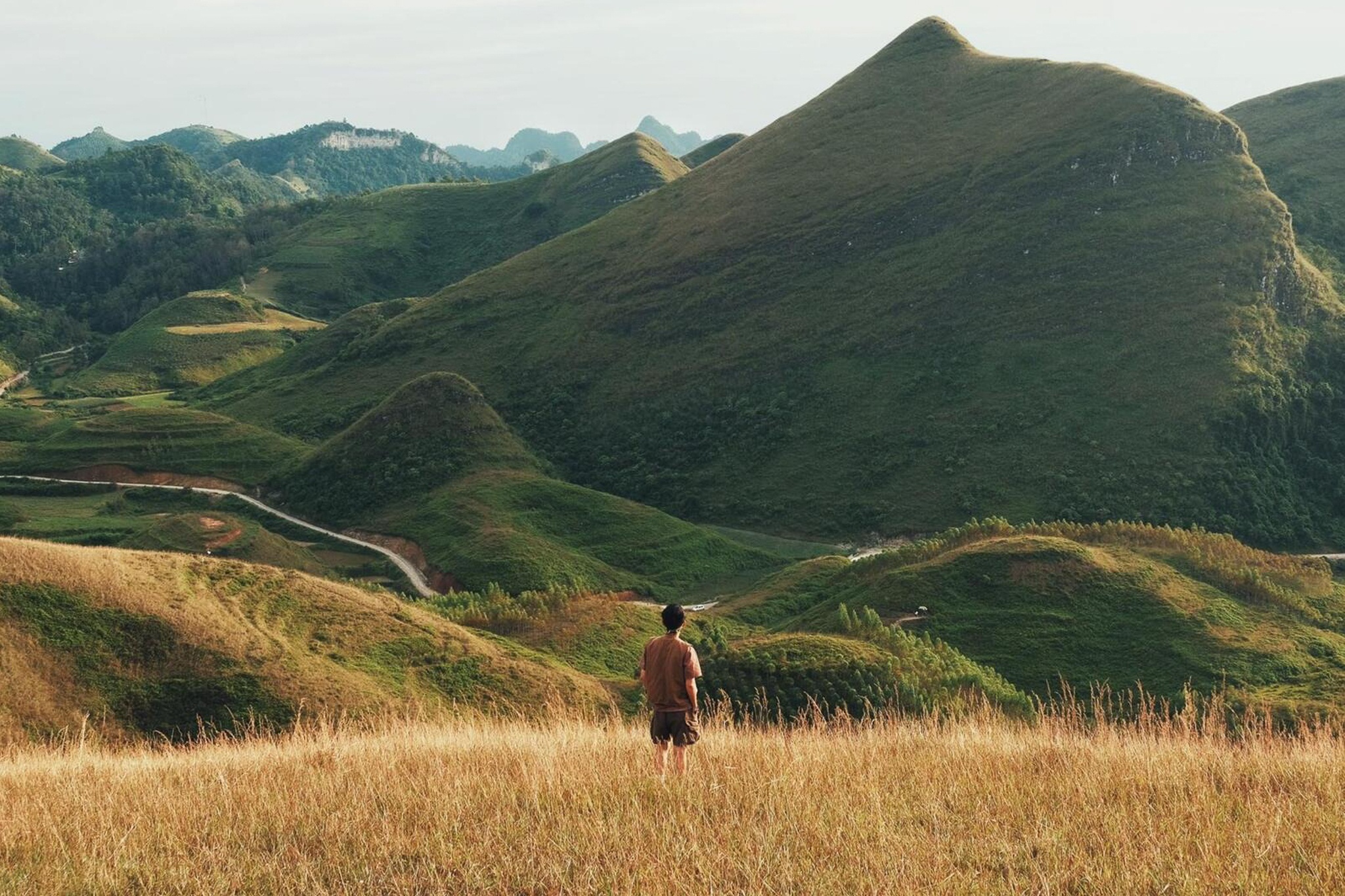 Mua co chay giua nui rung Cao Bang hinh anh