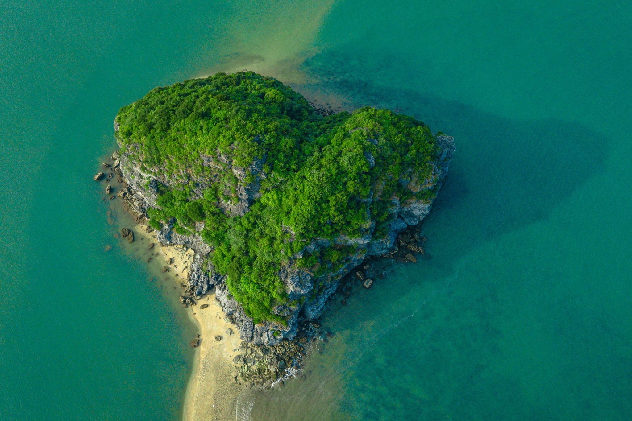 Cát Bà National Geographic ảnh 3 Cat Ba National Geographic anh 3