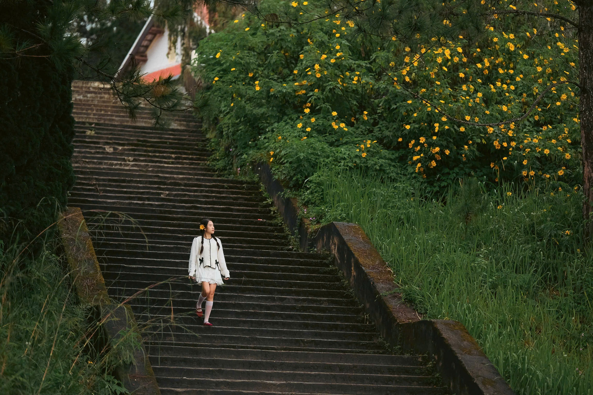 Da quy Da Lat anh 22