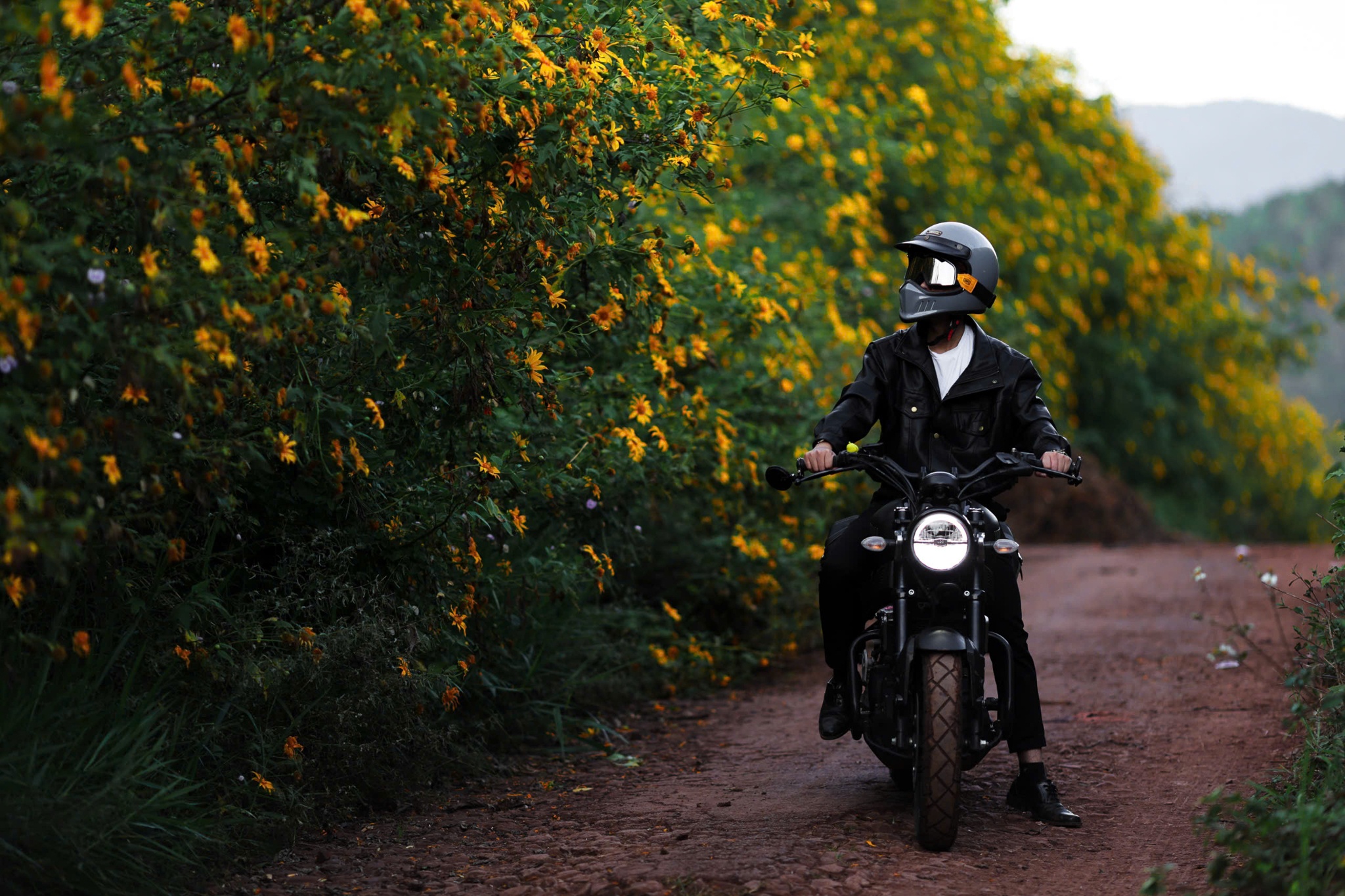 Da quy Da Lat anh 17