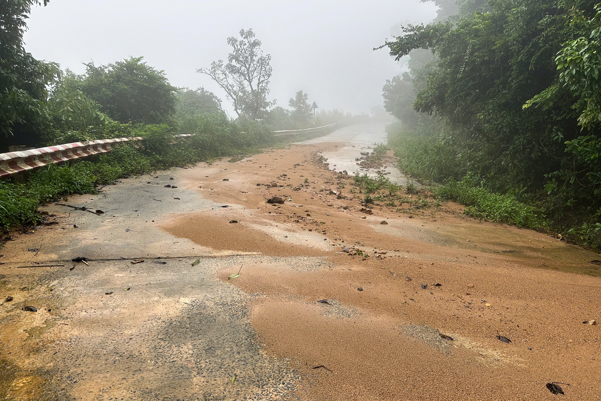 Sạt lở Sơn Trà ảnh 3 Sat lo Son Tra anh 3