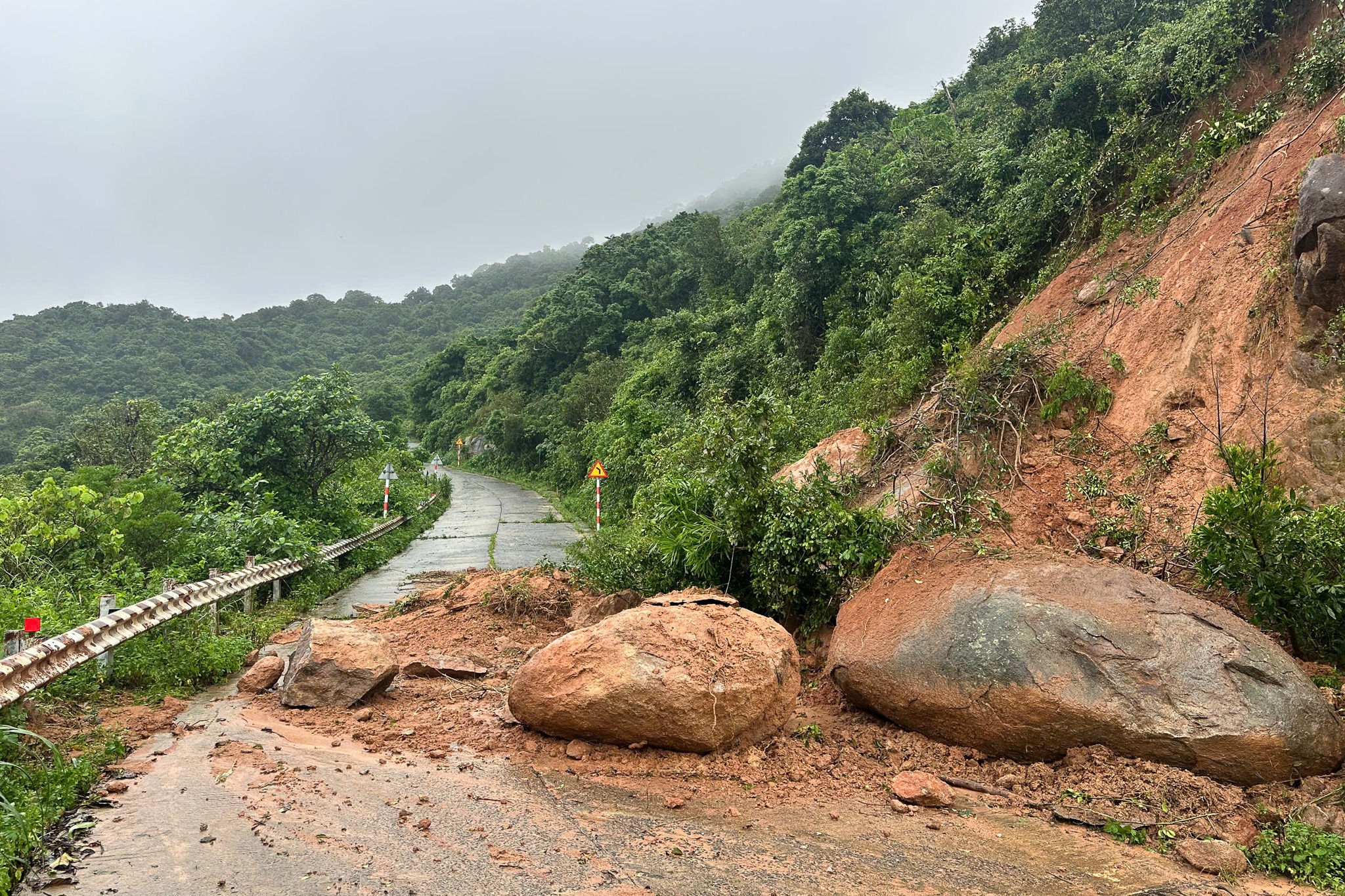 Sạt lở Sơn Trà ảnh 2 Sat lo Son Tra anh 2