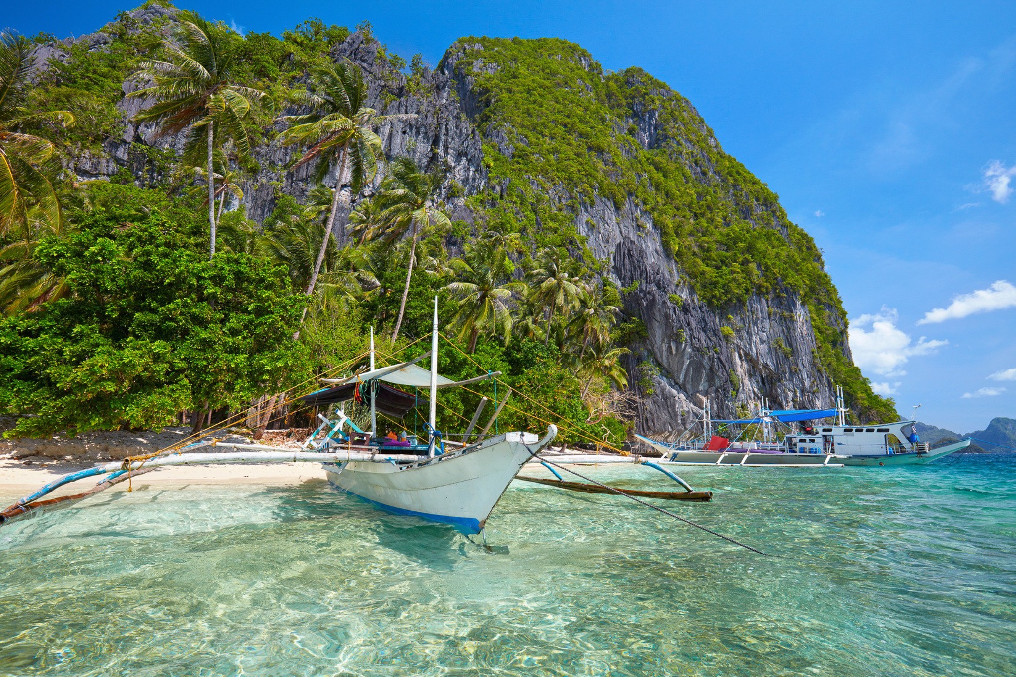 Cát Bà National Geographic ảnh 6 Cat Ba National Geographic anh 6