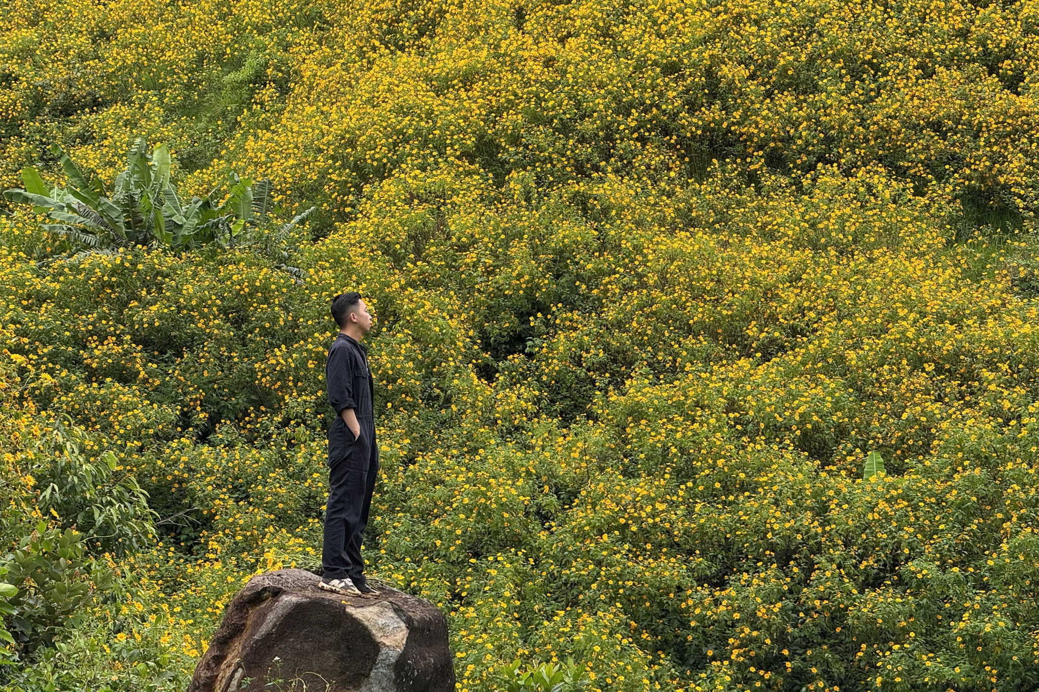 Da quy Da Lat anh 12