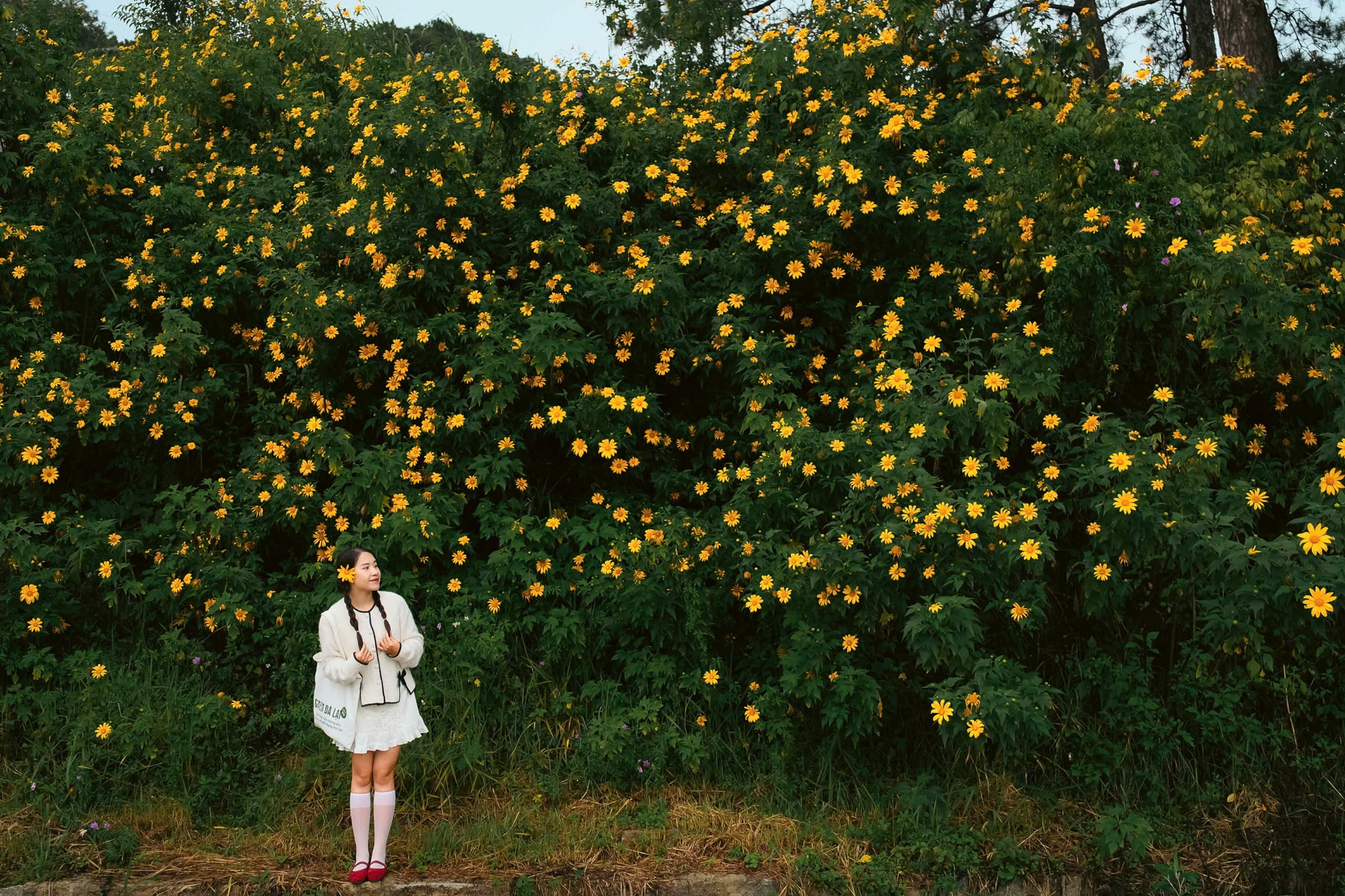 Da quy Da Lat anh 18