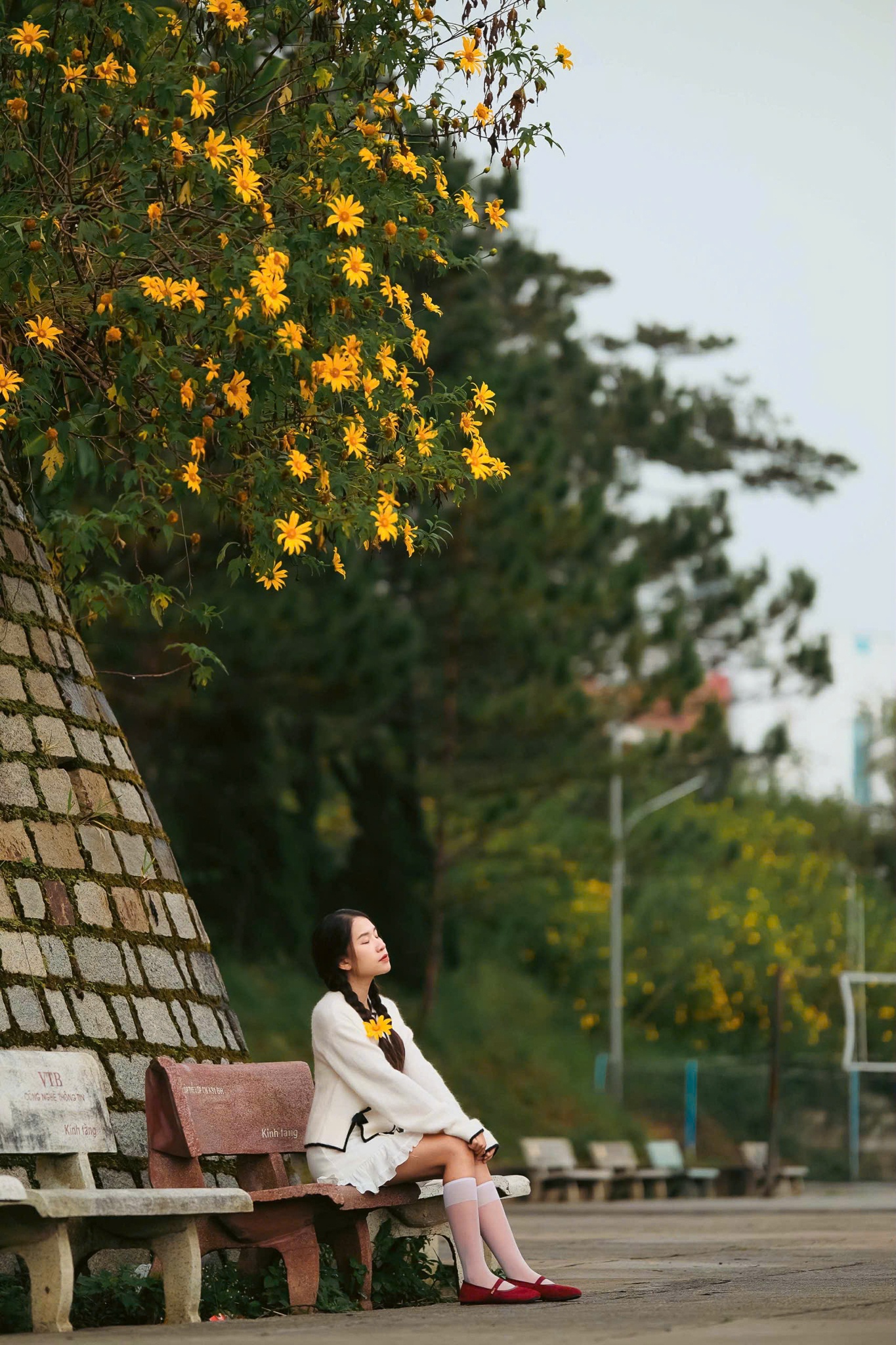 Da quy Da Lat anh 20