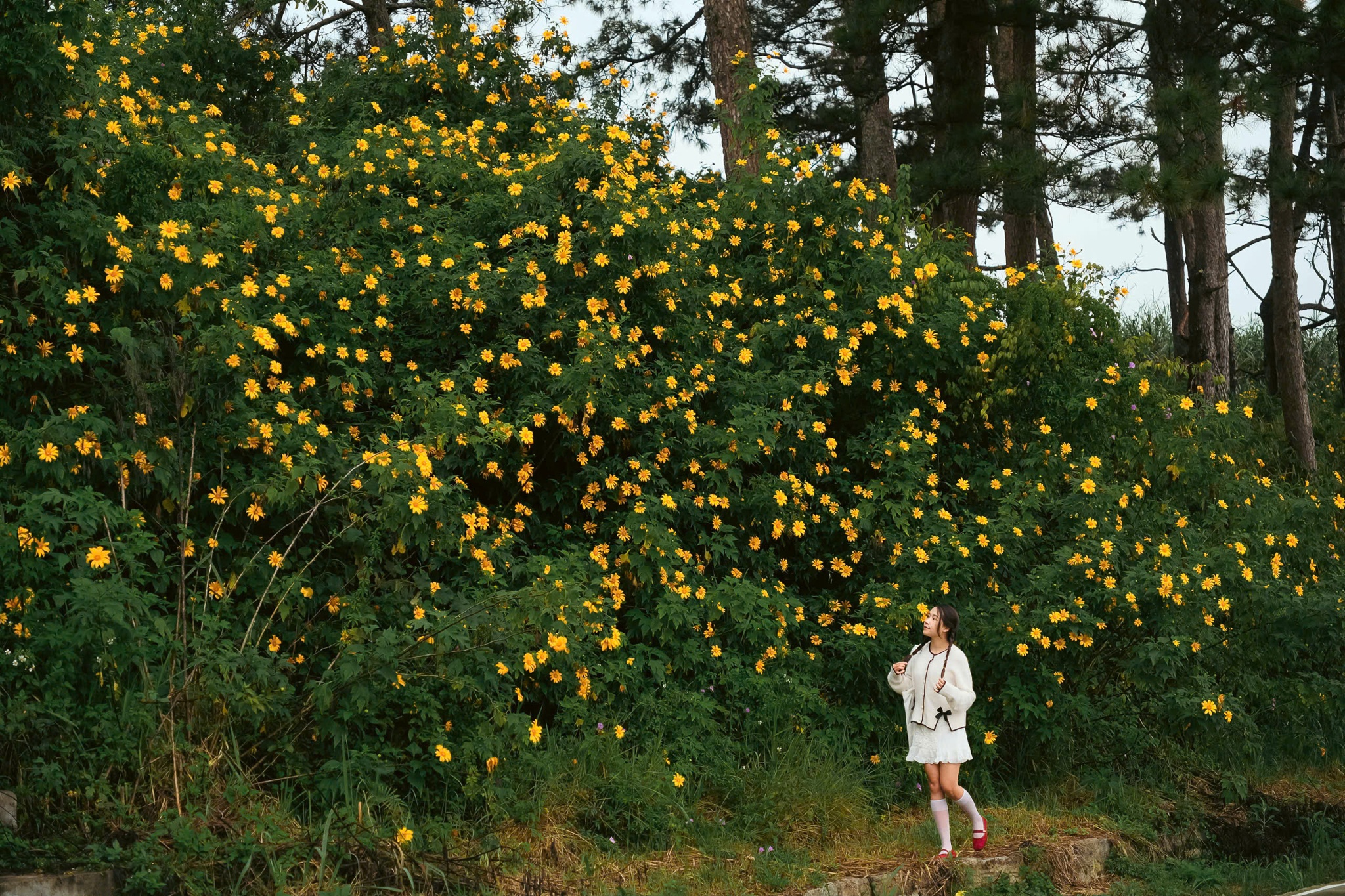 Da quy Da Lat anh 23