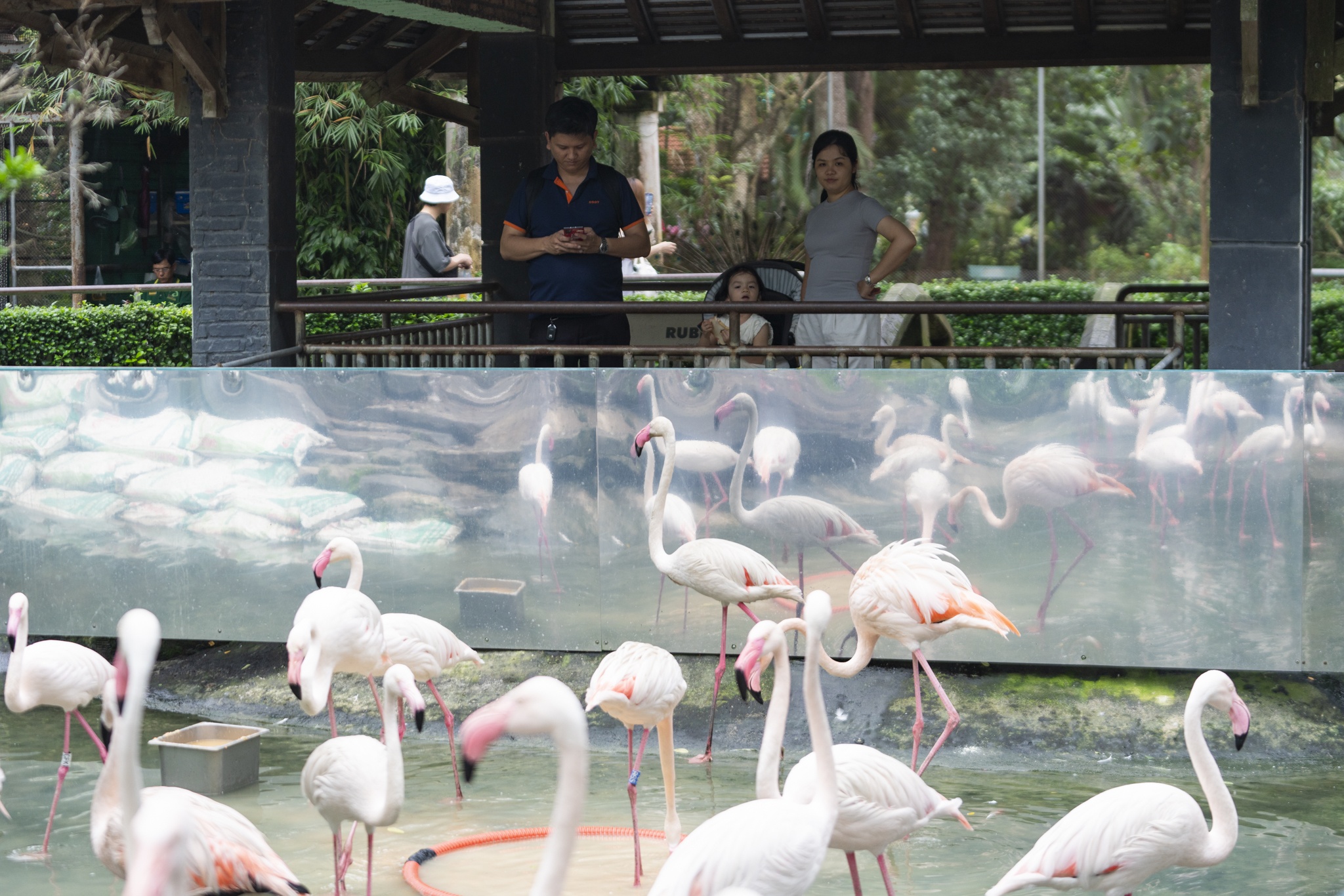 Hong hac Thao Cam Vien anh 14