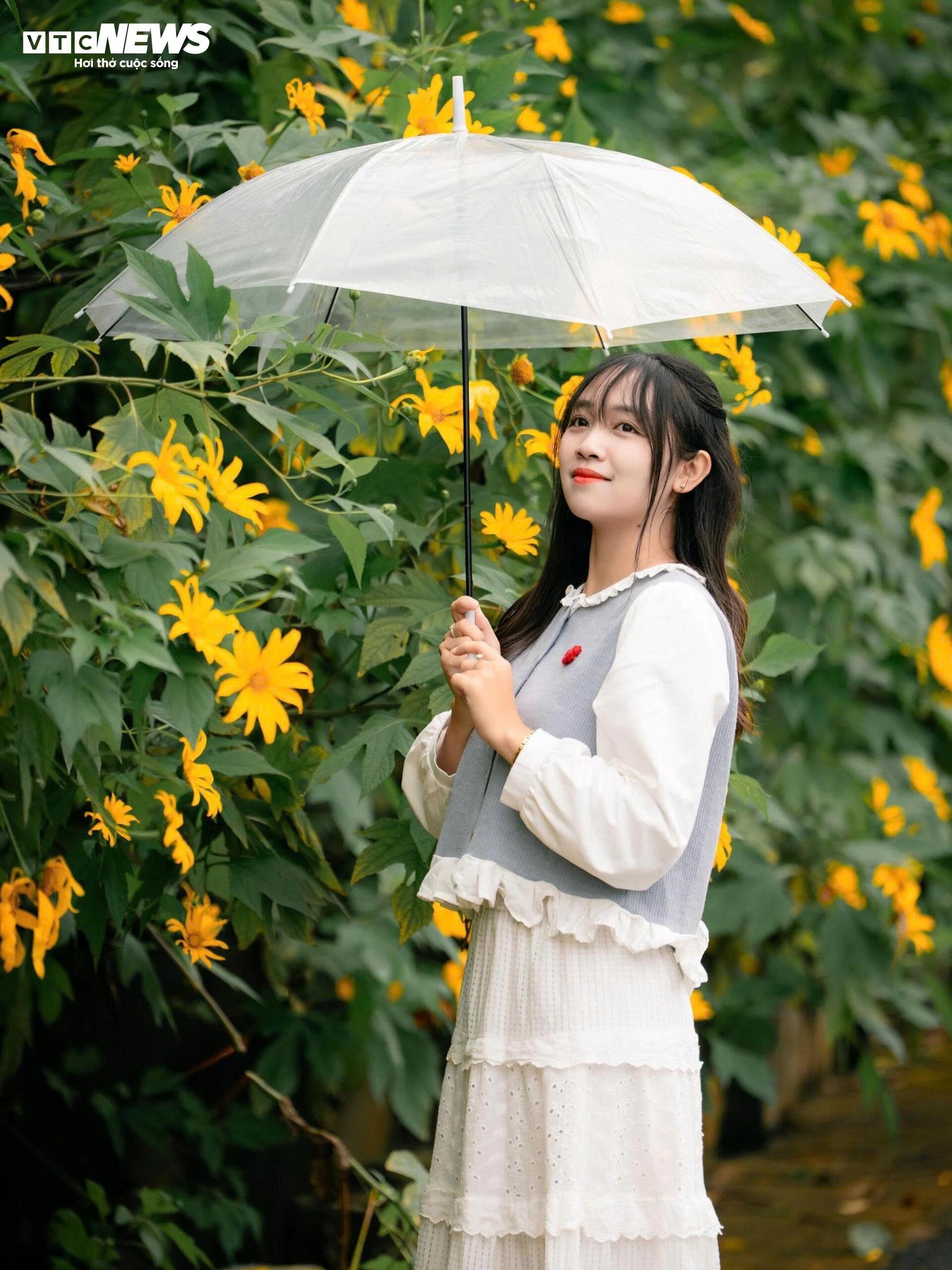 hoa da quy Ba Vi anh 10