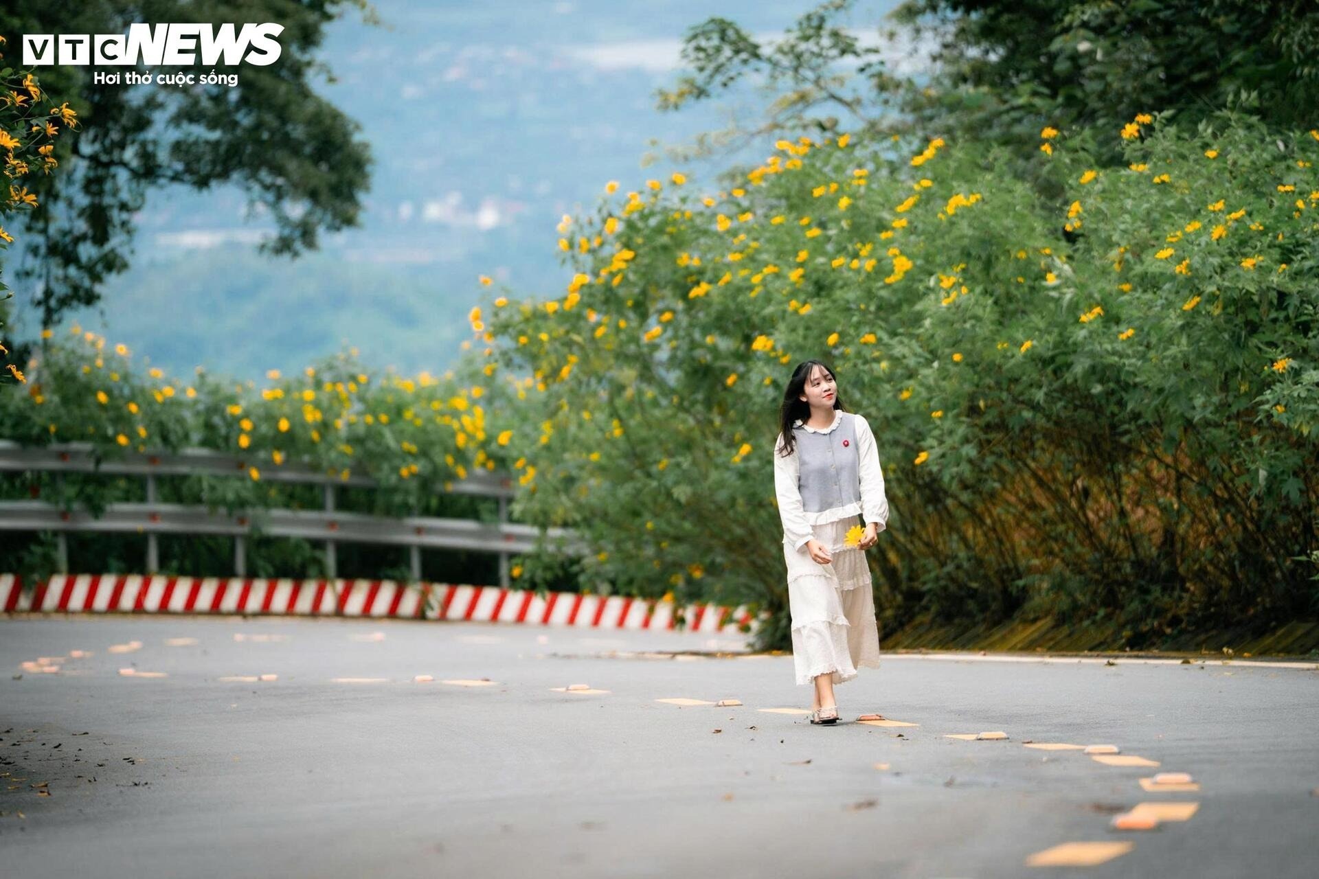 hoa da quy Ba Vi anh 11