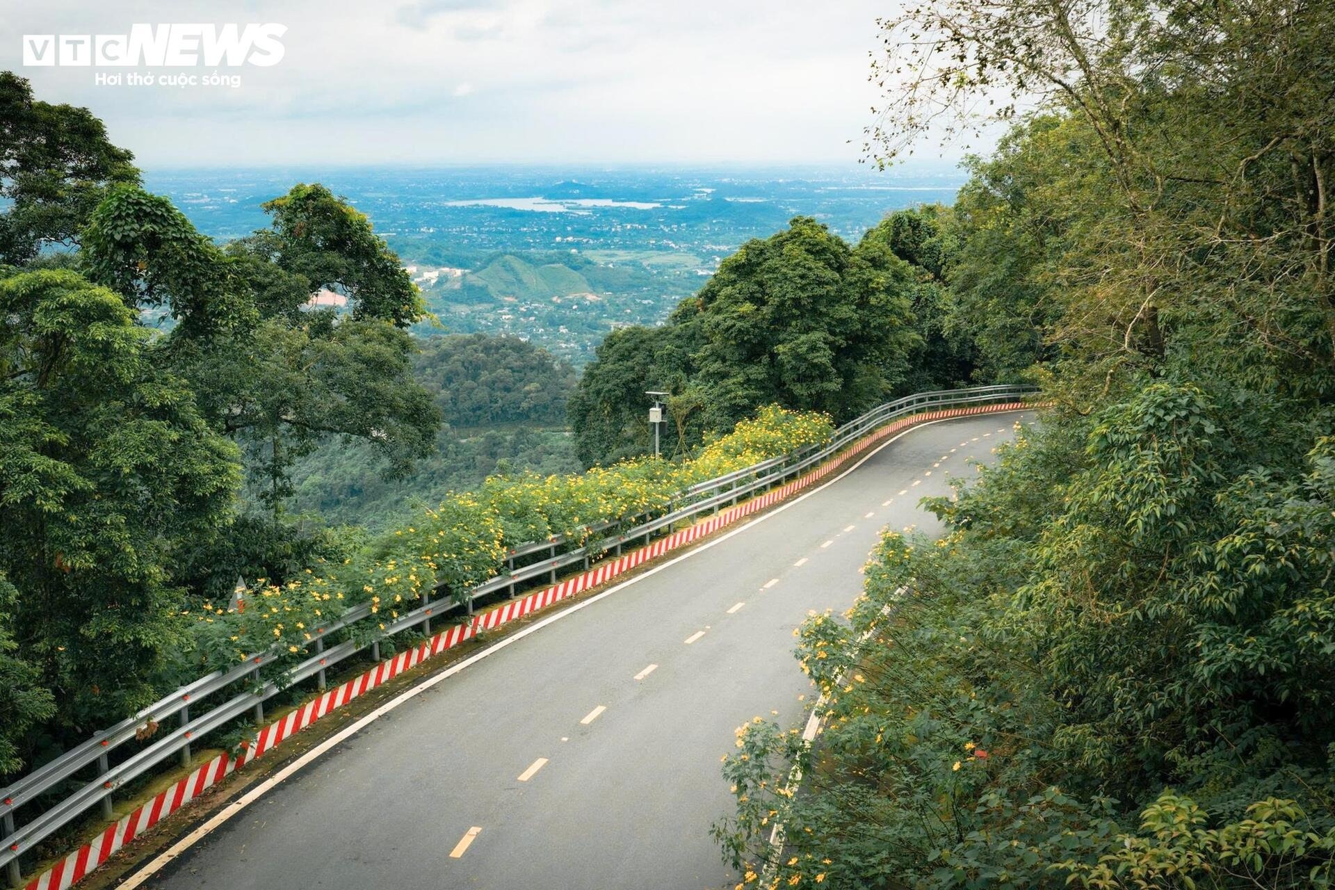 hoa da quy Ba Vi anh 1