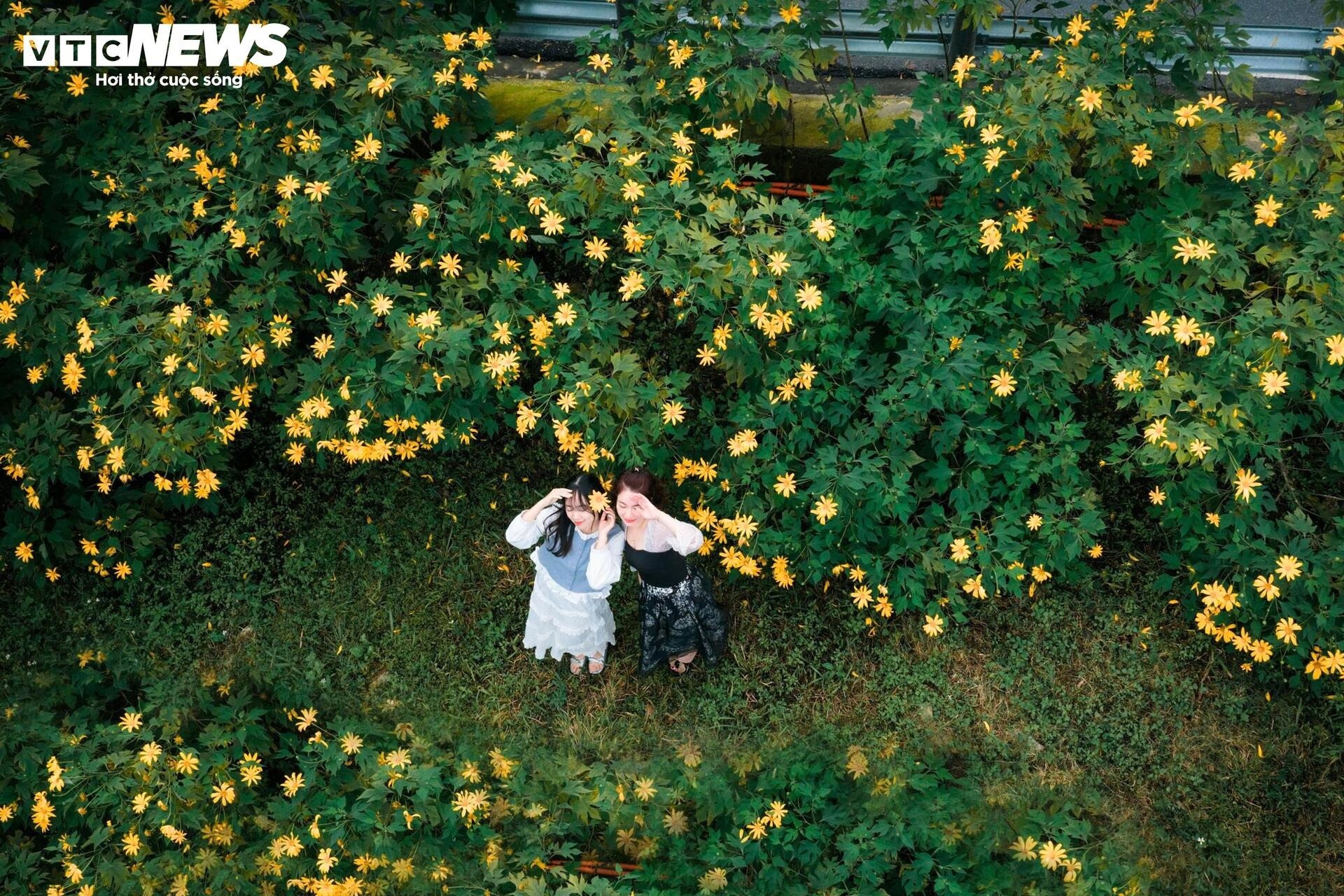 hoa da quy Ba Vi anh 6