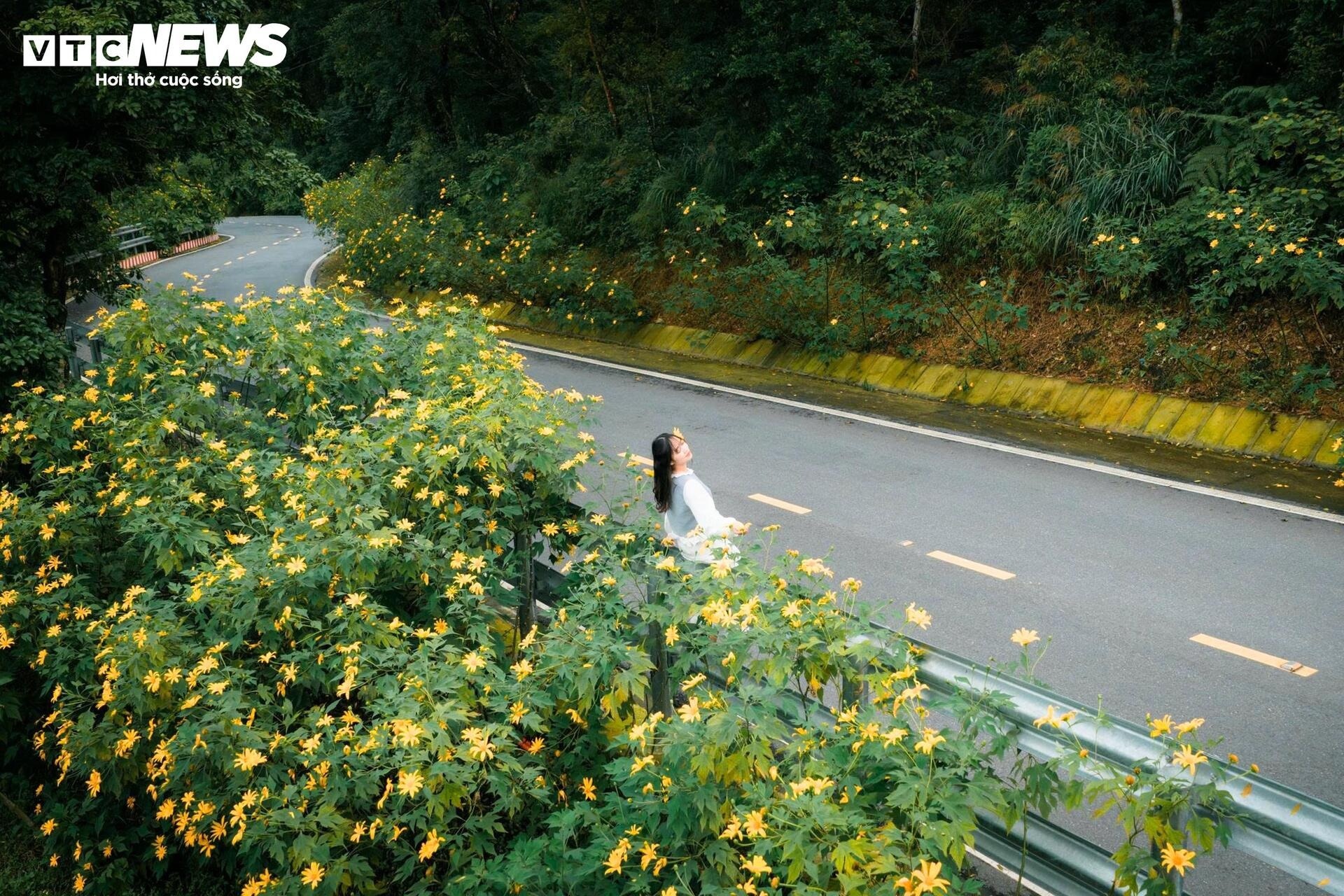 hoa da quy Ba Vi anh 7