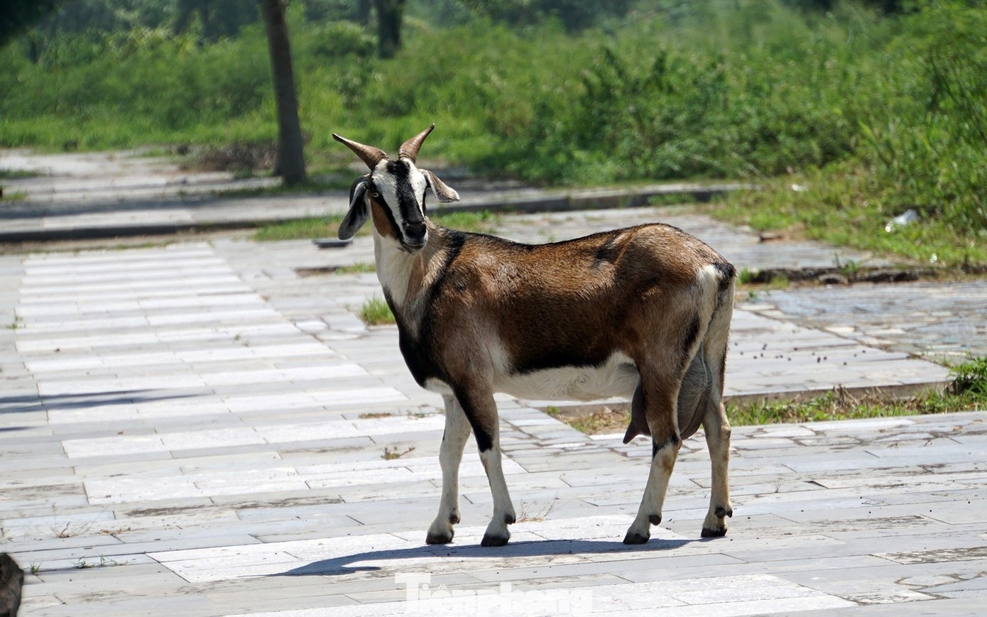 Khach san Do Son anh 15