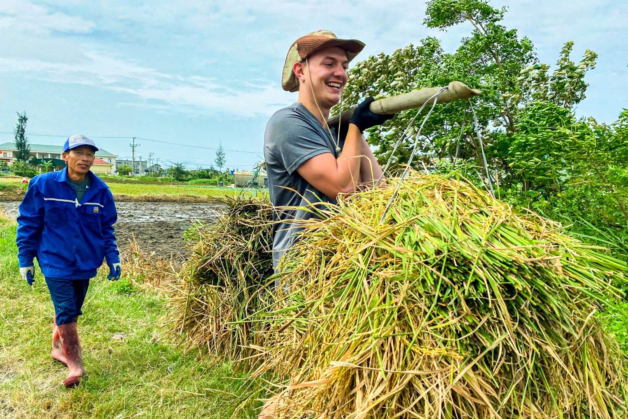 Khach Tay ke chuyen gat lua, bat cua o Co To hinh anh