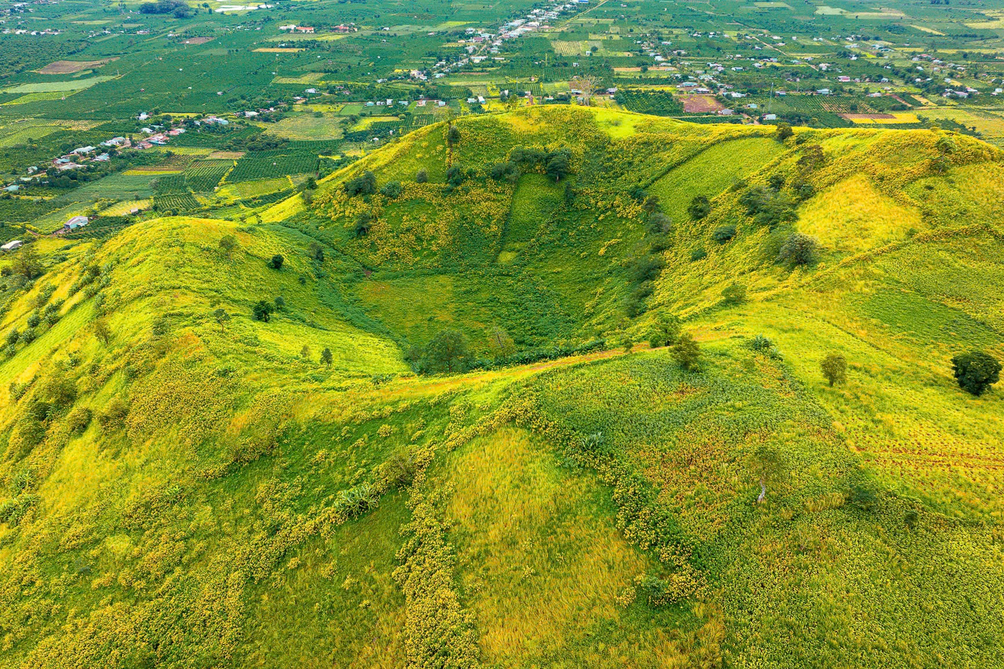 Da quy Chu Dang Ya anh 1