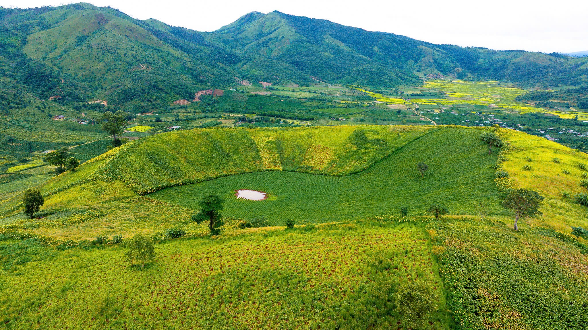 Da quy Chu Dang Ya anh 14