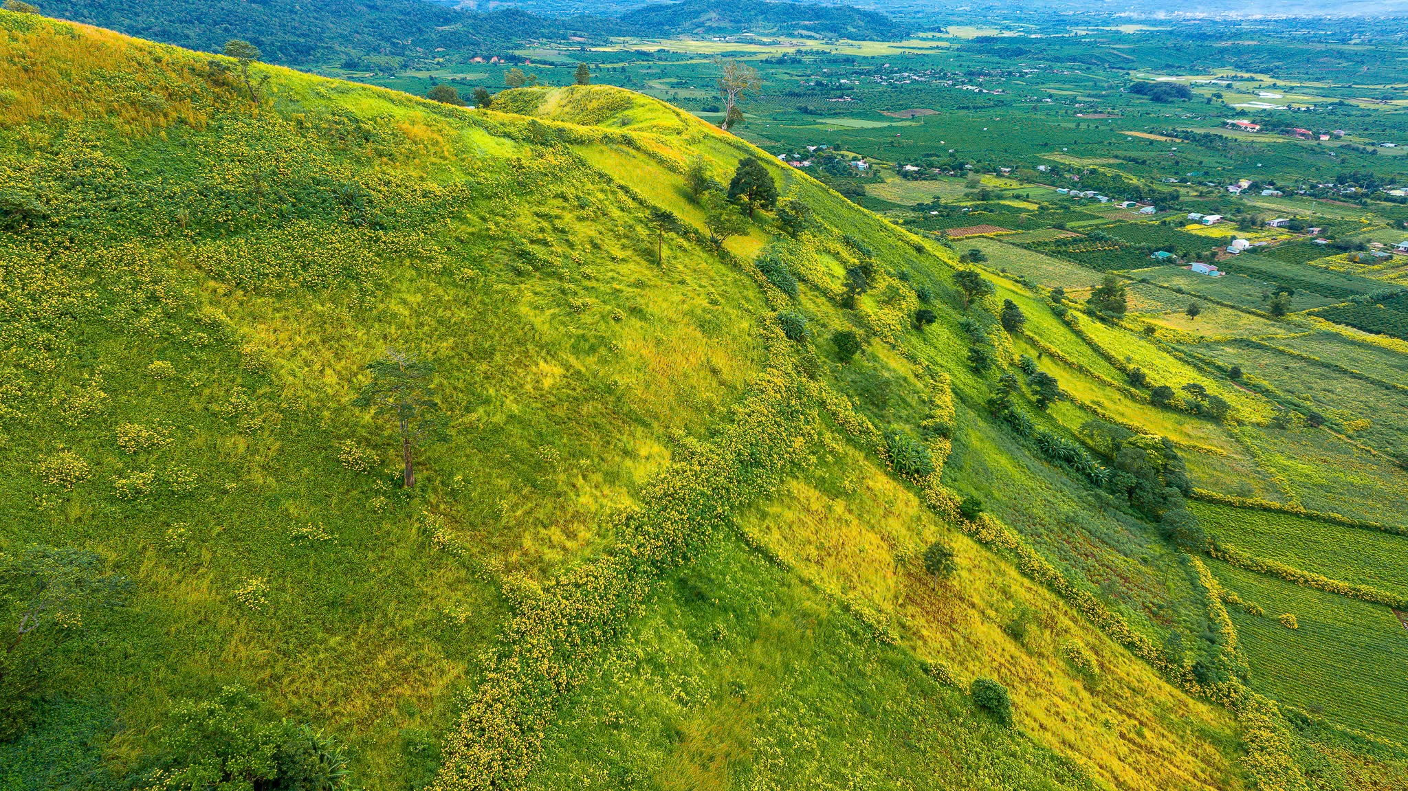 Da quy Chu Dang Ya anh 5