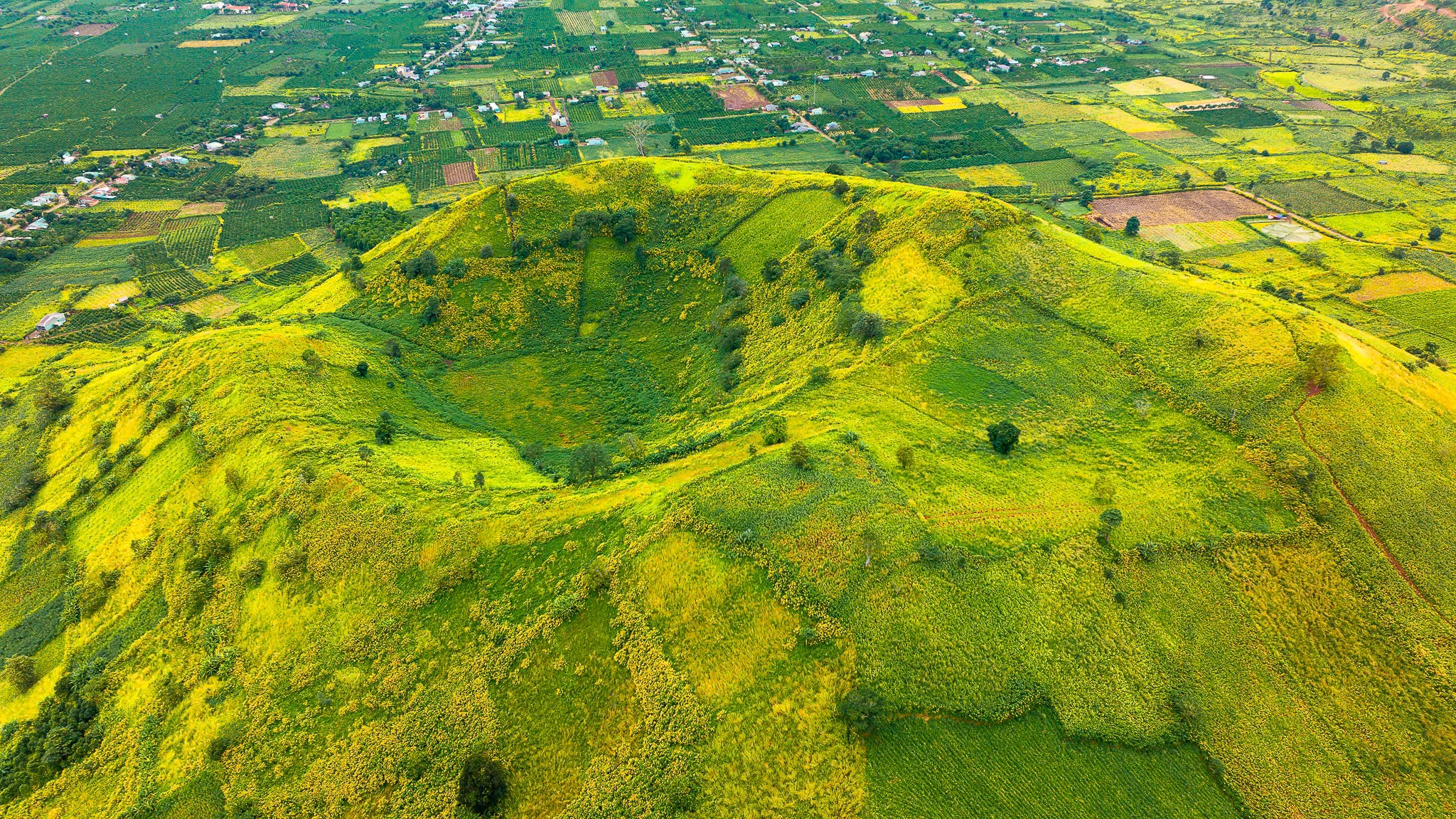 Da quy Chu Dang Ya anh 3