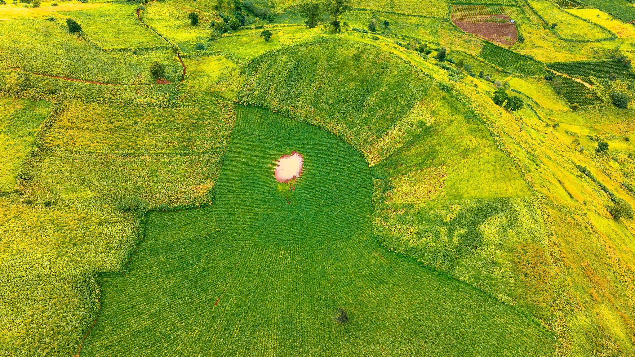 Da quy Chu Dang Ya anh 4