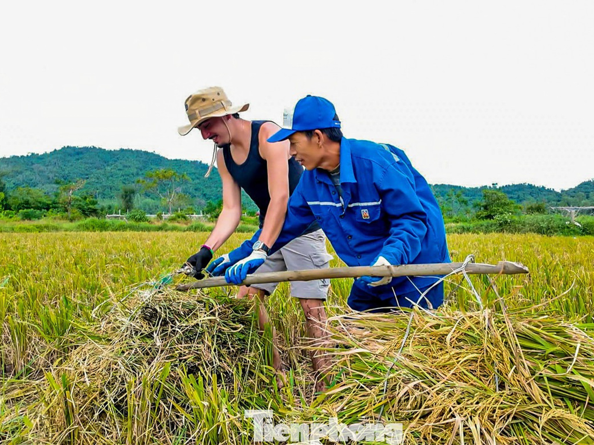 Khach gat lua bat cua anh 9