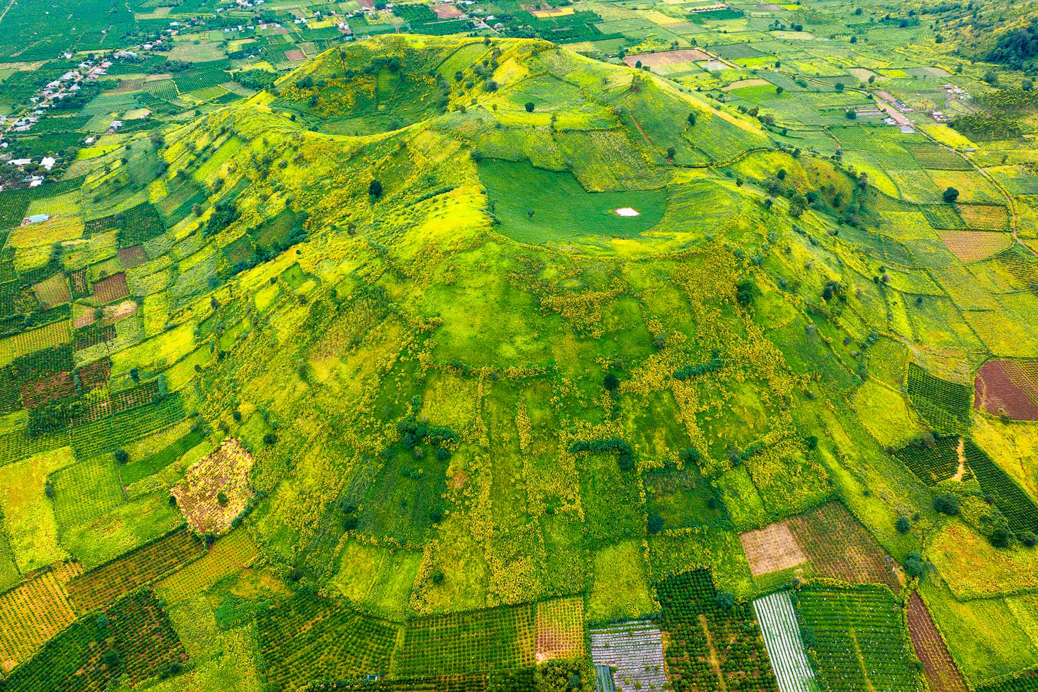 Mang xanh tren mieng nui lua trieu nam tuoi o Gia Lai hinh anh