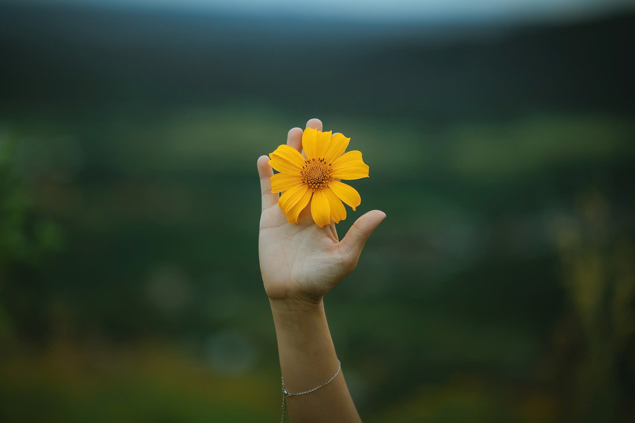 Da quy Chu Dang Ya anh 6