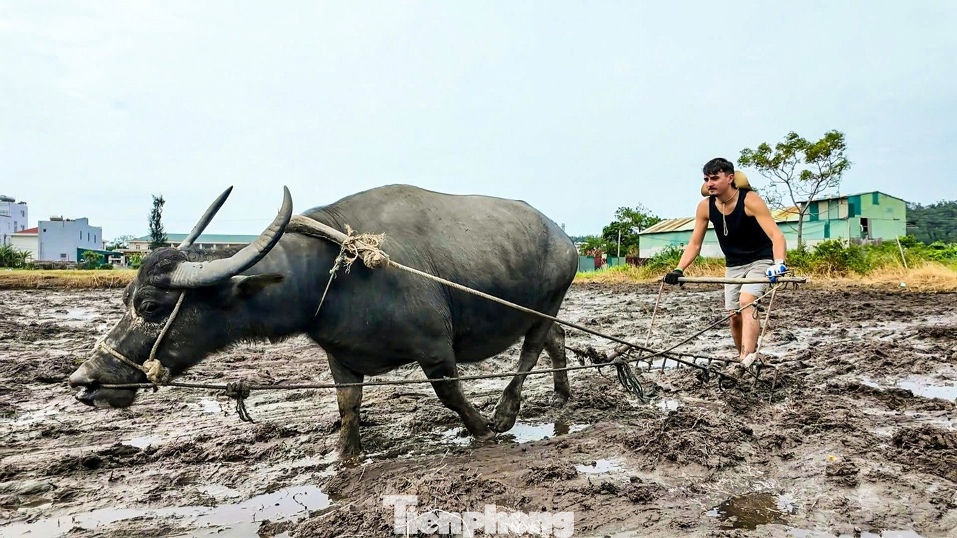 Khach gat lua bat cua anh 5