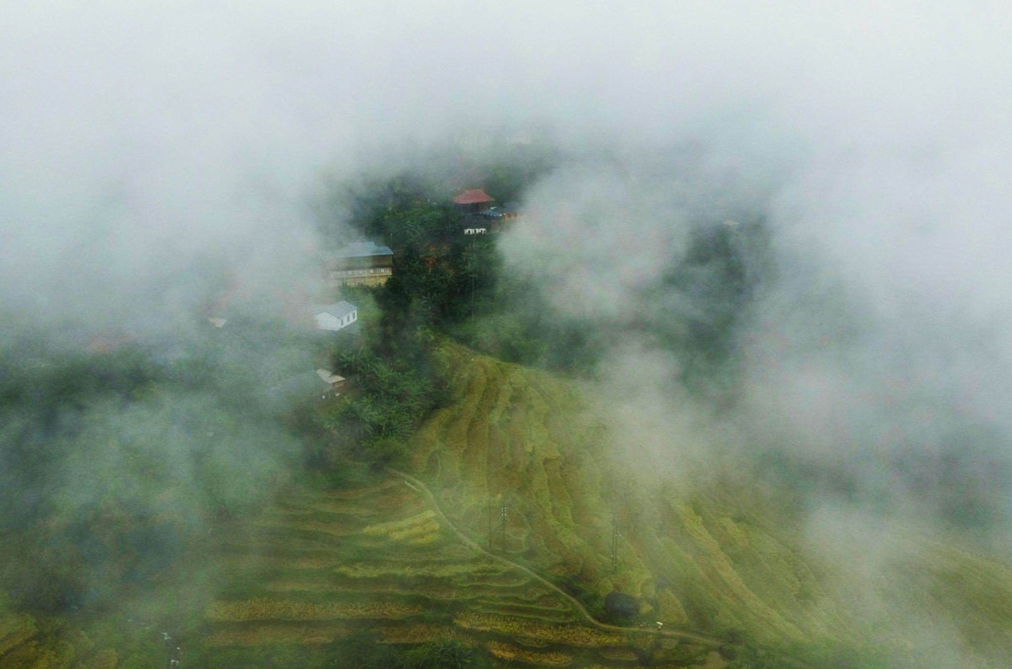 Pu Luong chim trong suong hinh anh